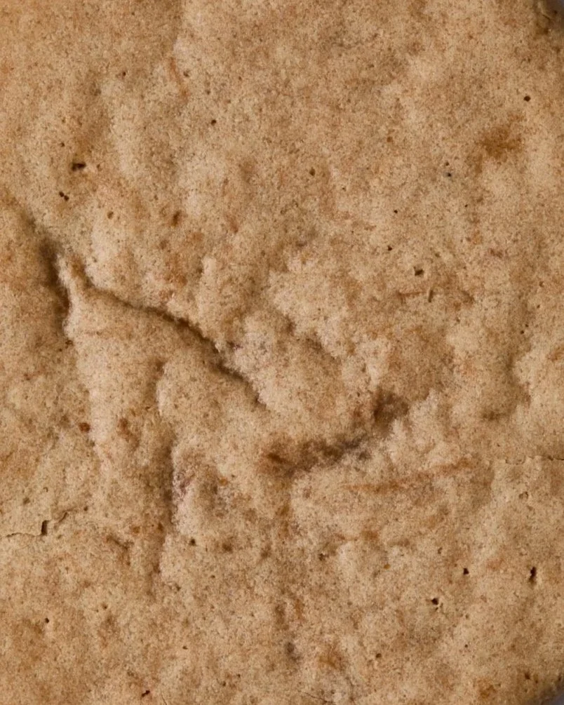 spiced cozy oat cookie