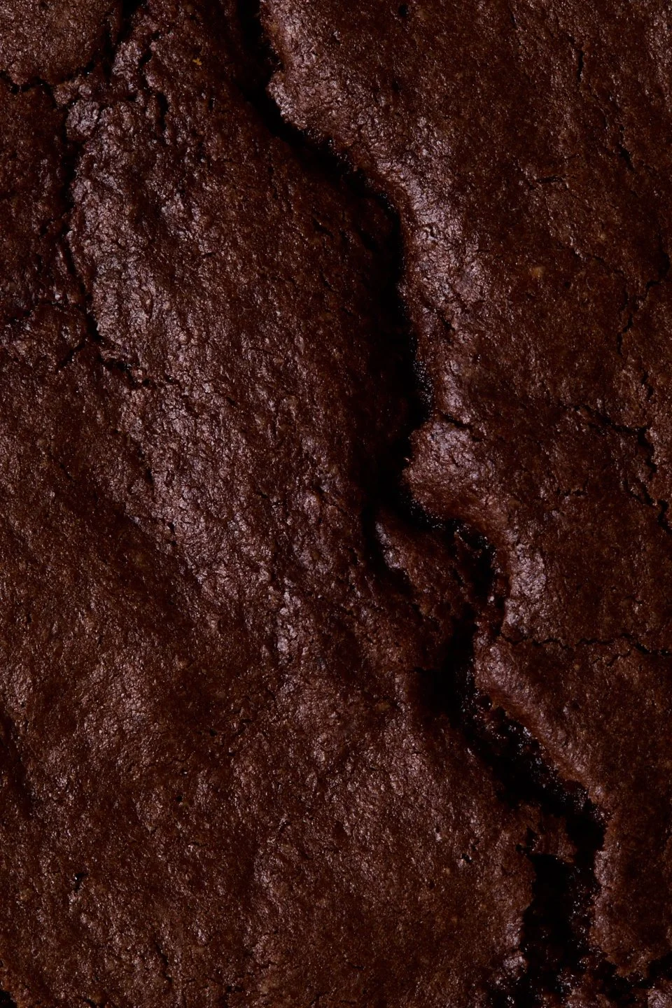close detail of a dark, baked galette surface.
