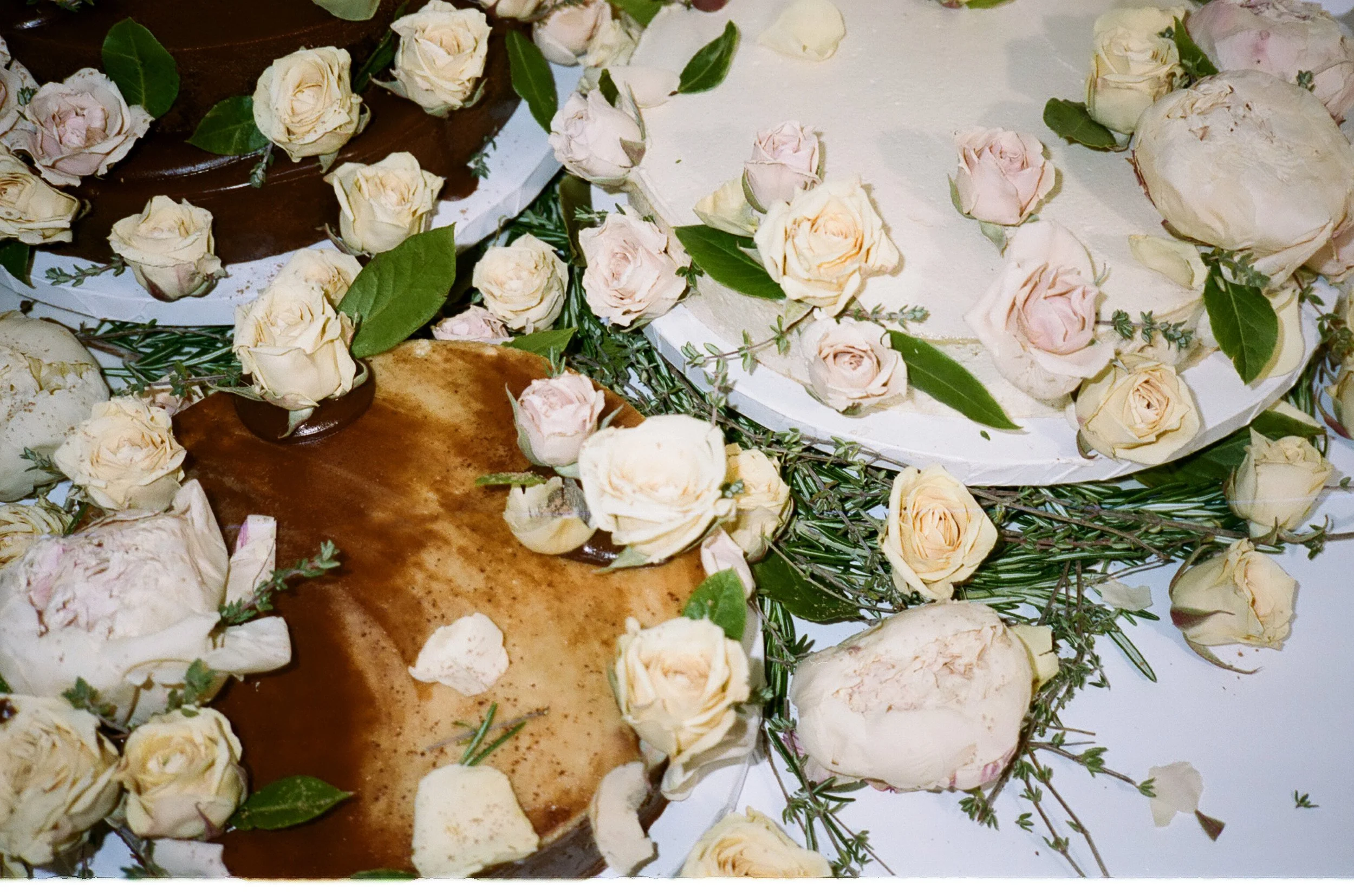 Vegan gluten-free bakery in New York. Refined sugar-free cakes, custom cakes, and adaptogenic baked goods. Made without seed oils or soy. Tiny by design, rich beyond expectation, meant to be savored.