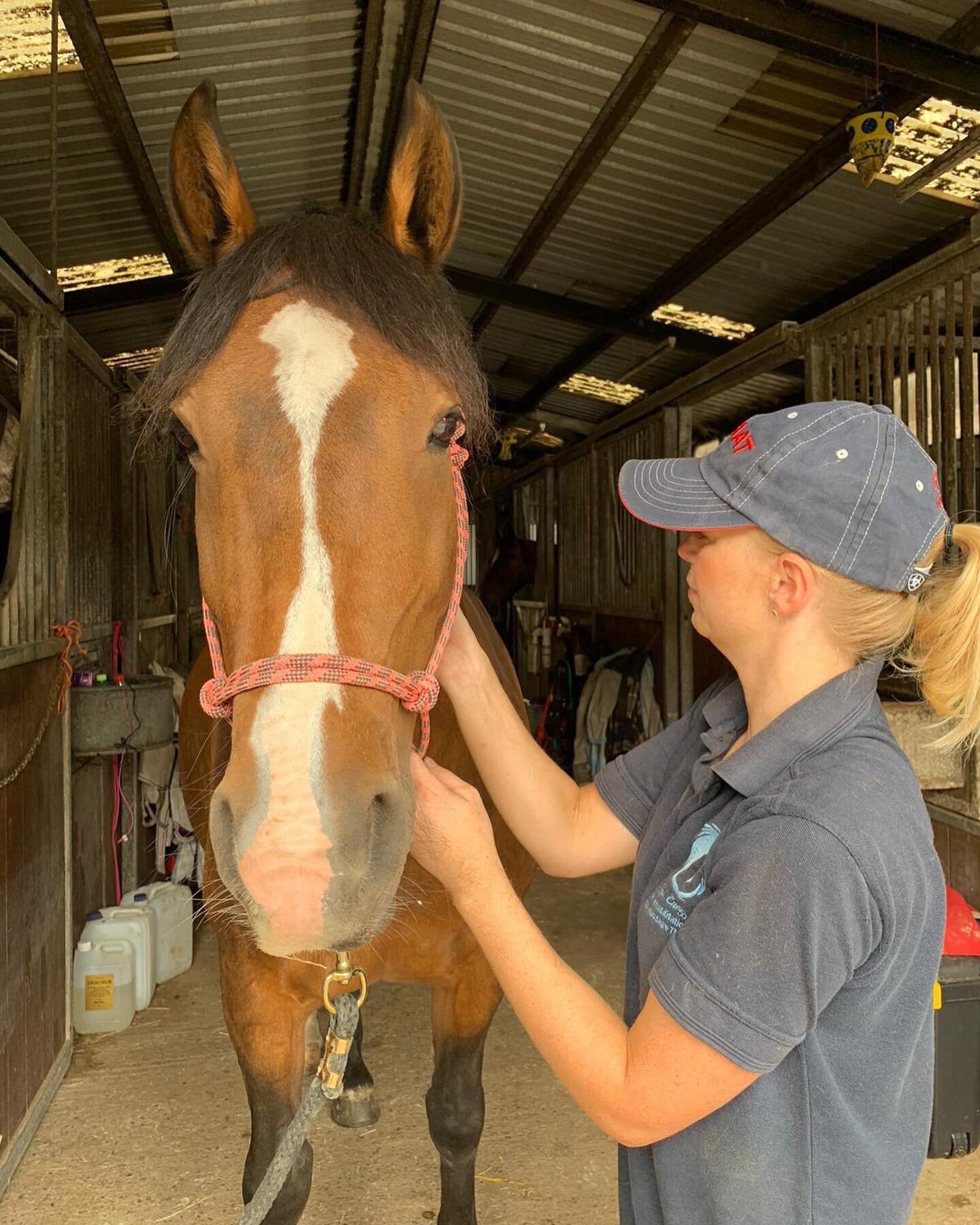 I have really enjoyed getting to know this beautiful little mare Ellie, and her owner Mary-Kate. Mary-Kate is a vet who works locally and very kindly left me this lovely feedback! 💕

&ldquo;I would highly recommend Charlie! She has treated Ellie twi