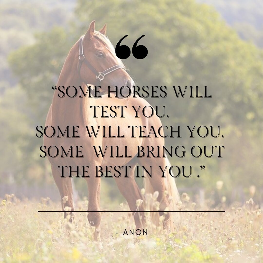 🌟 M O T I V A T I O N 🌟 M O N D A Y 🌟

&ldquo;Some horses will test you, some will teach you and some will bring out the best in you&rdquo;

What have you been up to this weekend with your horses? 

Have they tested you? Taught you something? Or b