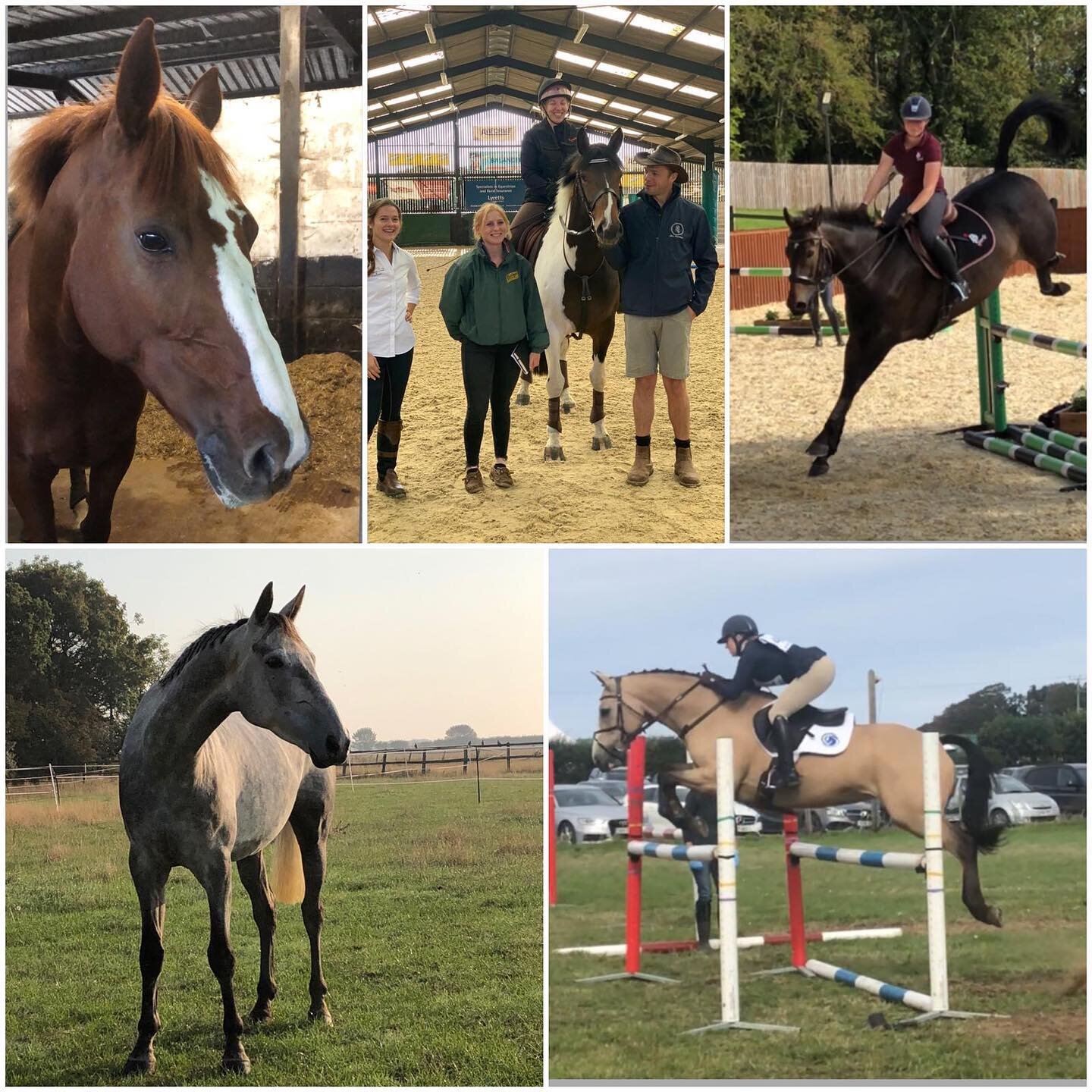 🌟 NEW BLOG 🌟

I am lucky to work with two fantastic professional riders. You may have seen them appear in many of my posts and stories but I thought it would be great for you to learn more about their journeys with their horses via my new blog!

Th