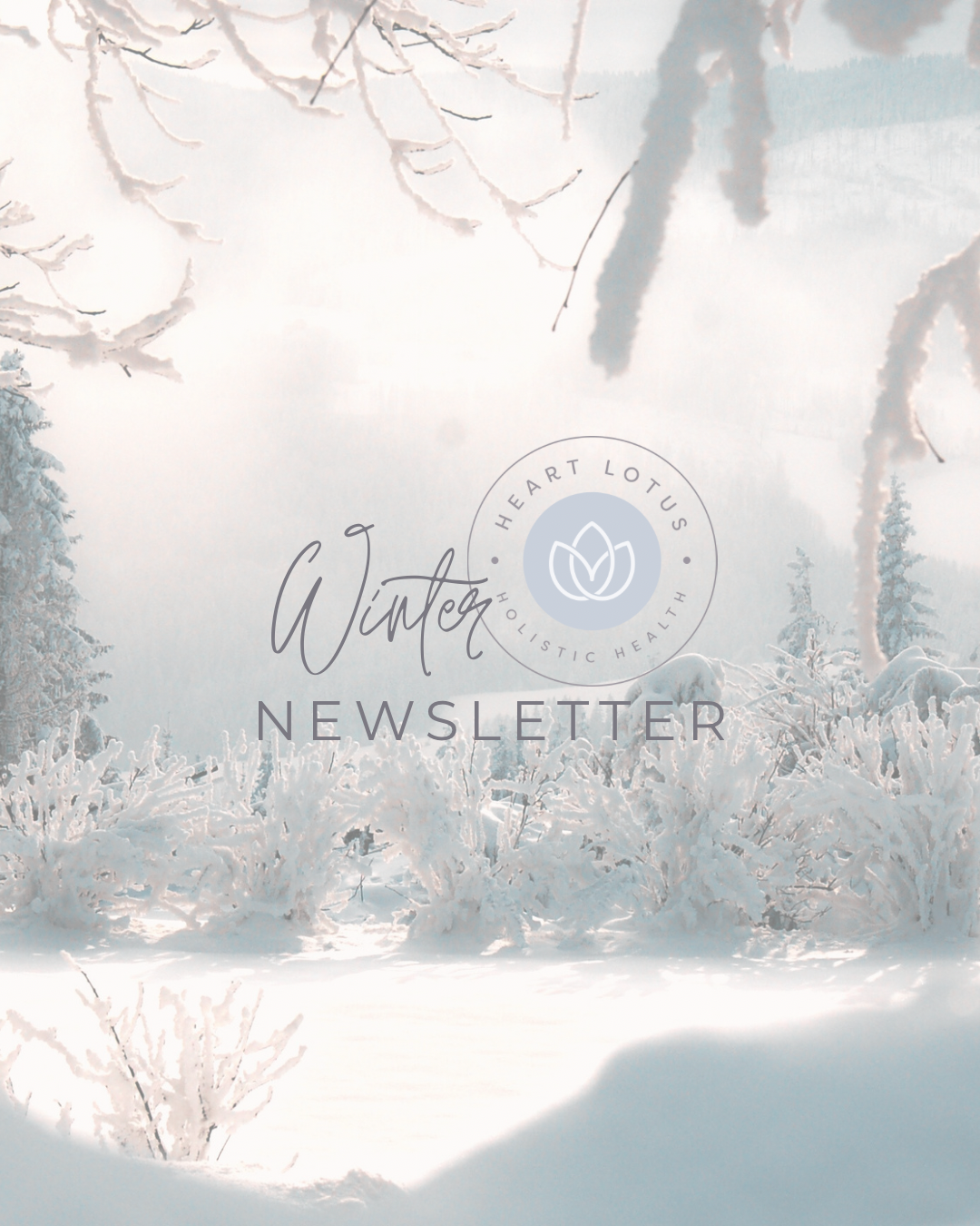 Winter Newsletter 2026
