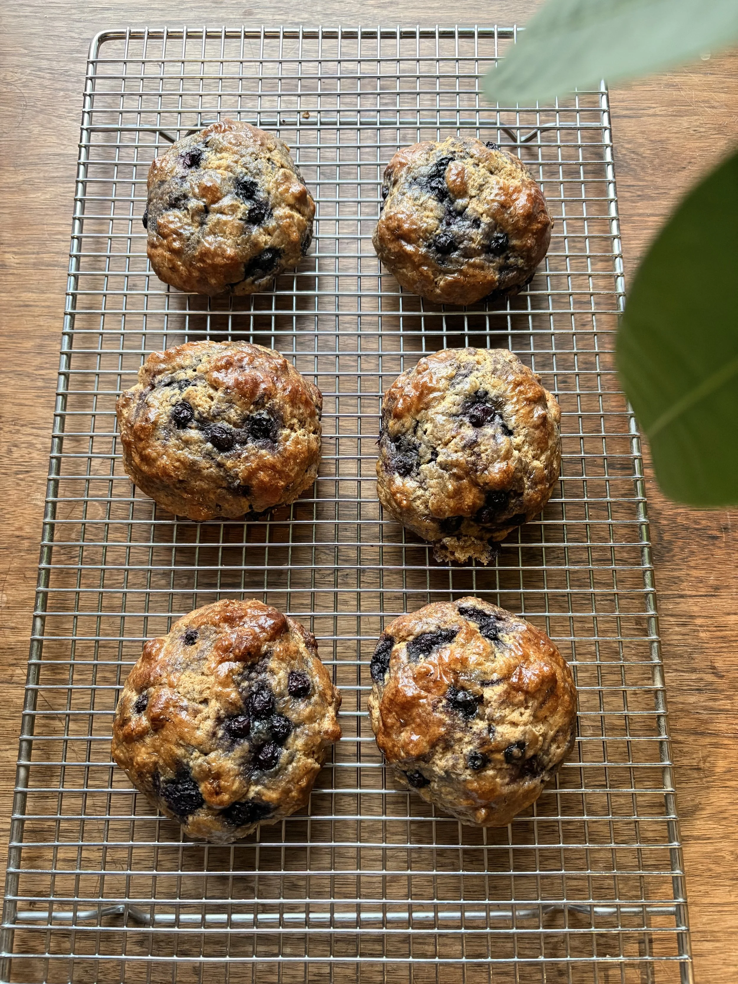 Blueberry Scones Made with Ghee