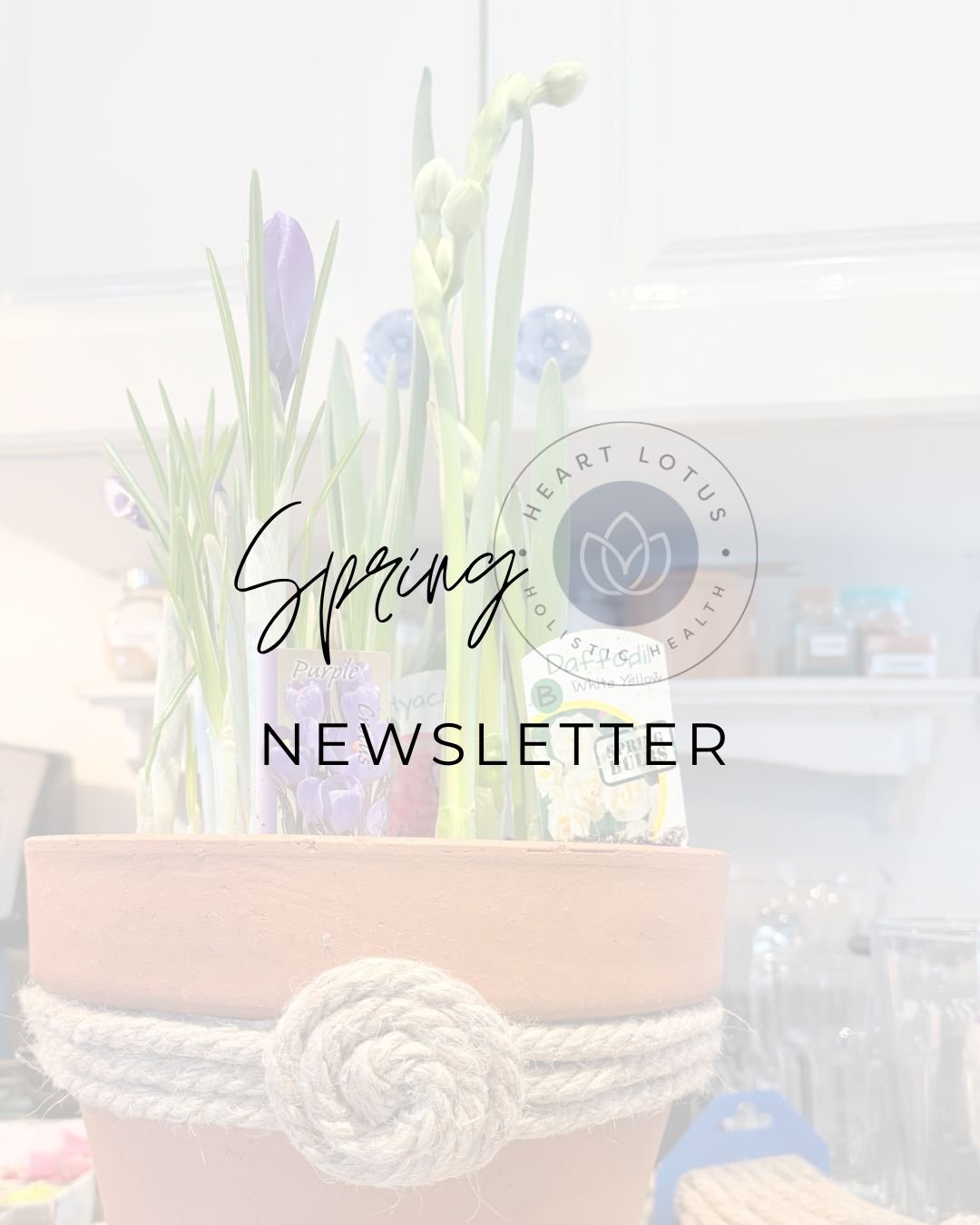Spring 2026 Newsletter