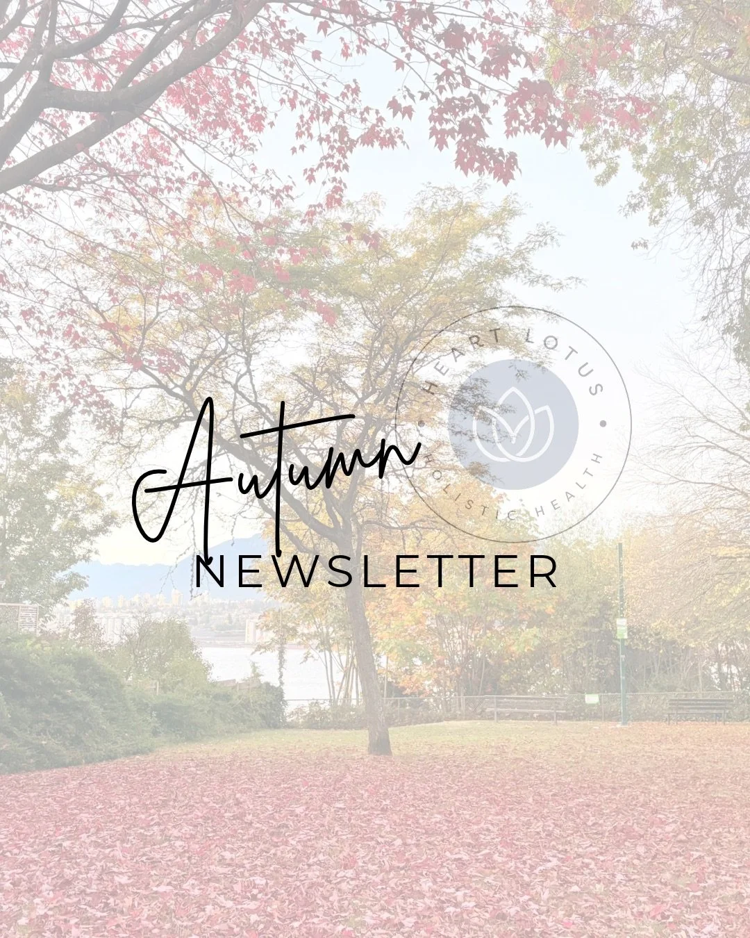 Autumn 2026 Newsletter