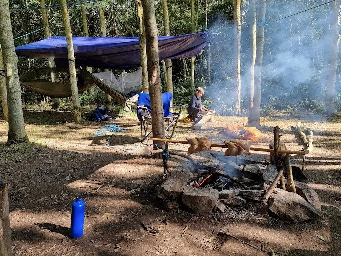 Spacious woodland camping pitch with a contained firepit at Fire and Stars