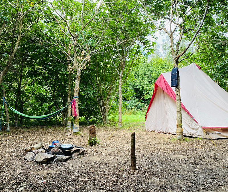 A spacious woodland camping pitch with tent, hammock and firepit