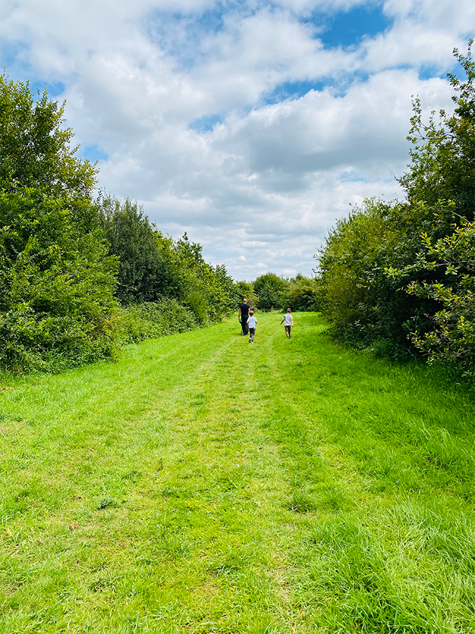 A family walking along a grassy woodland ride at Fire and Stars