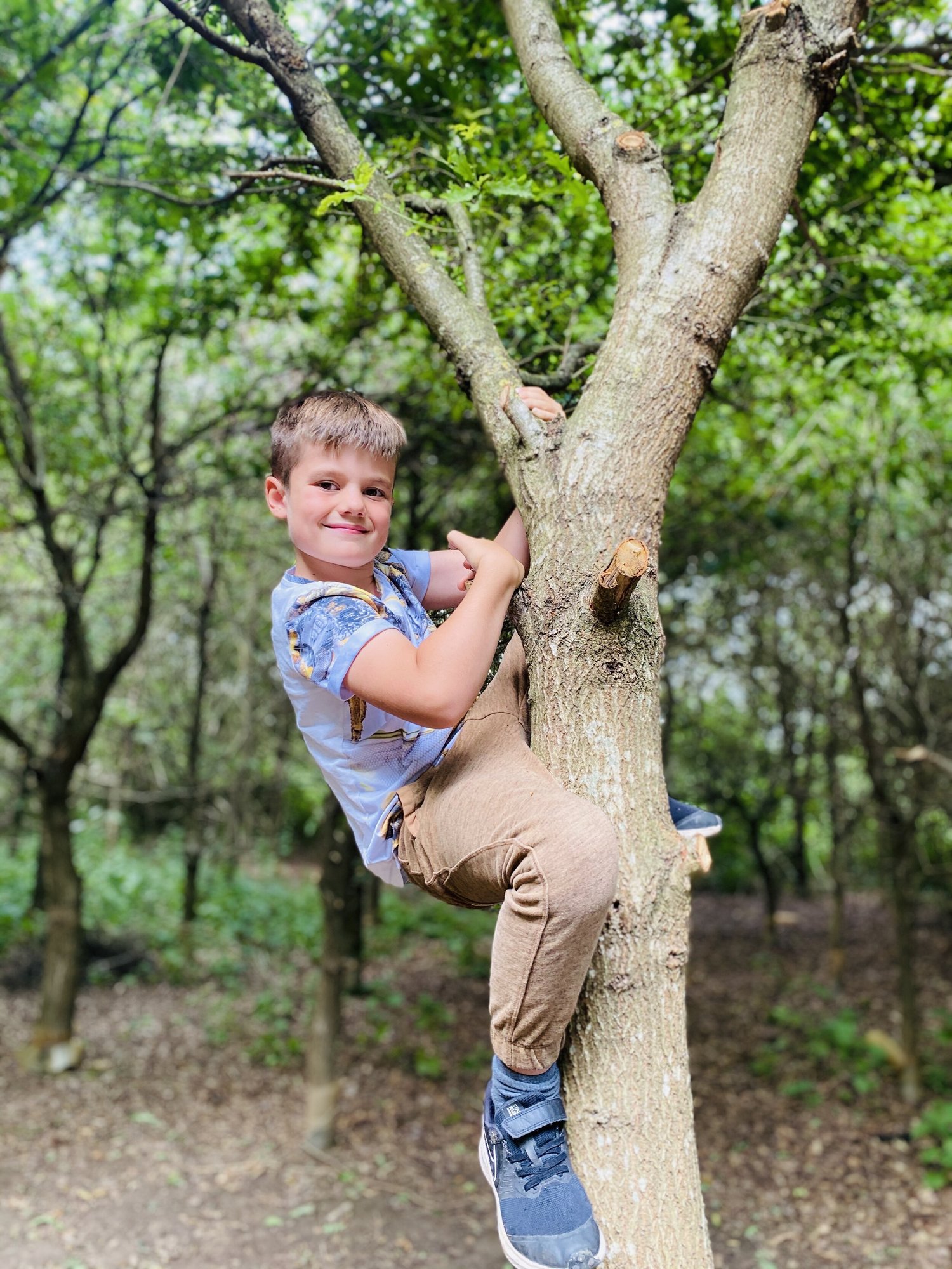 Nethercote Woodland at Fire and Stars