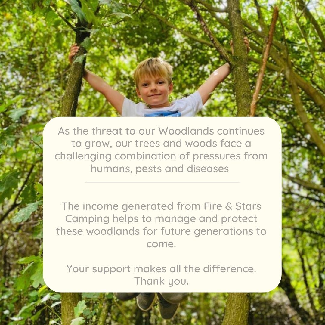 The woodlands here is privately managed in partnership with National Forest and Forestry Commission. 

Income generated from Fire &amp; Stars Woodland Camping supports the ongoing  protection of the woodlands and its habitats from the increased threa