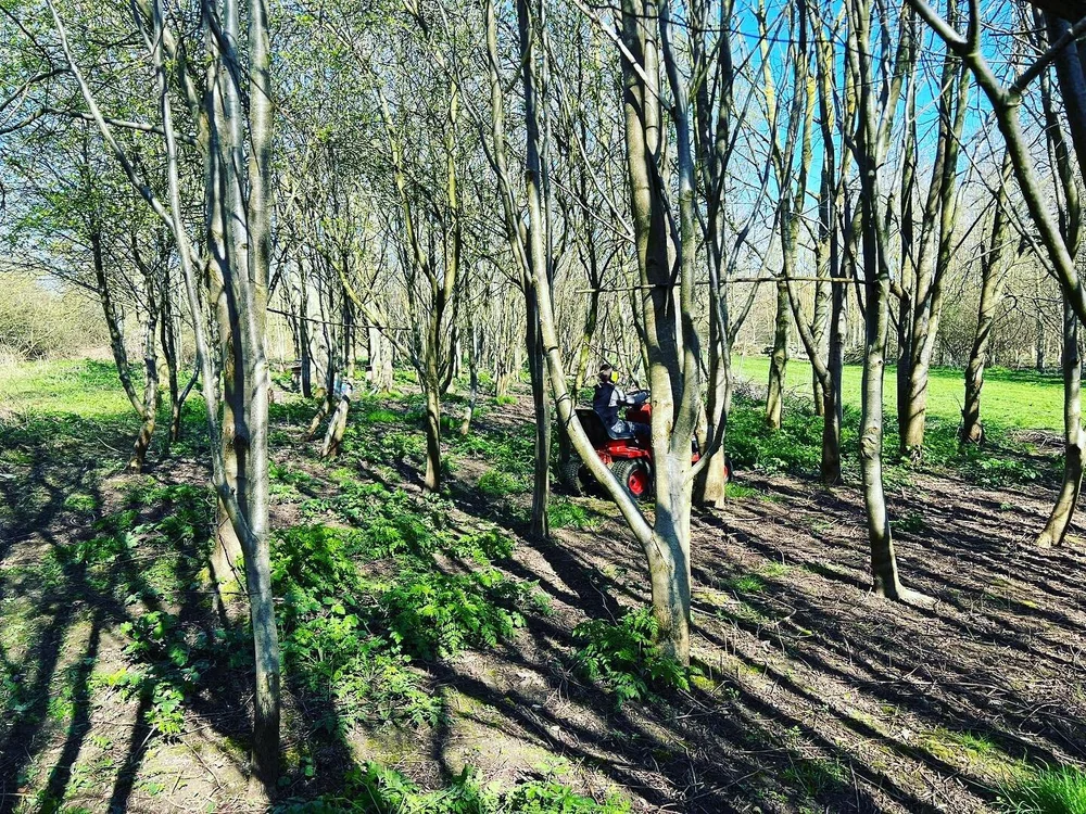 We&rsquo;re getting Woodland ready for another Bank Holiday this weekend&hellip;

What are your plans? 

We have availability if you fancy having your own Coronation Camp Out Party or maybe you just want to get away from it all&hellip;

Either way, w