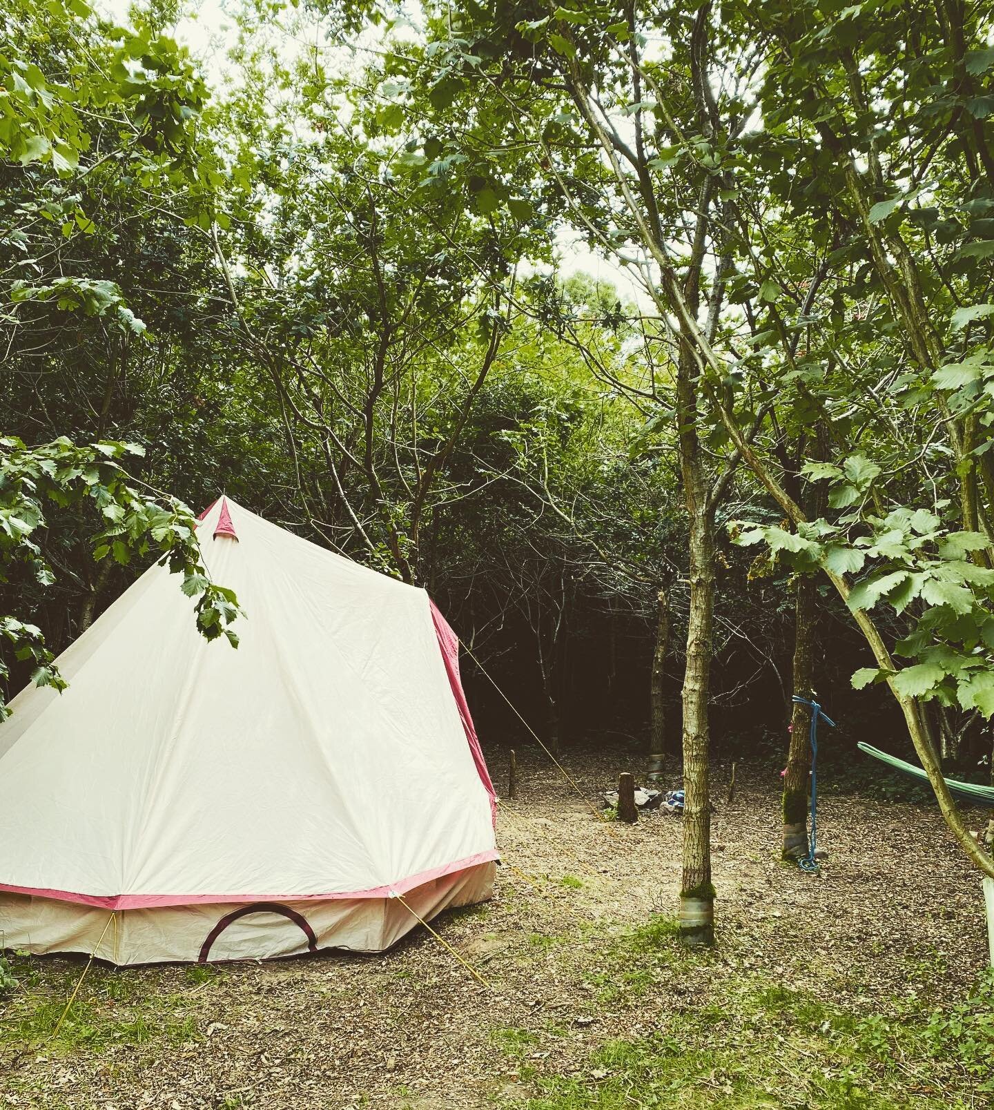 Come hang up your hammock &amp; your hassles and join us for a night or a weekend truly away from it all!! #backtonature #timeout 

Next weekend for the Bank Hols we now only have a couple of pitches left&hellip; but we have space this weekend 🏕️

#