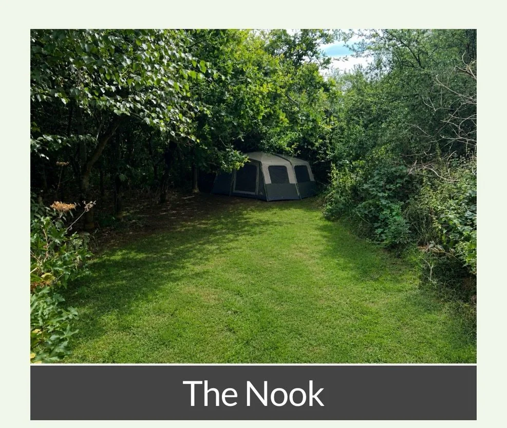 Due to demand - welcome to our latest unique pitches which are proving to be popular already!! 

Also due, to the incredible summer we are having please don&rsquo;t hesitate when booking! When they&rsquo;re gone they&rsquo;re gone!! 

The Nook - Tuck