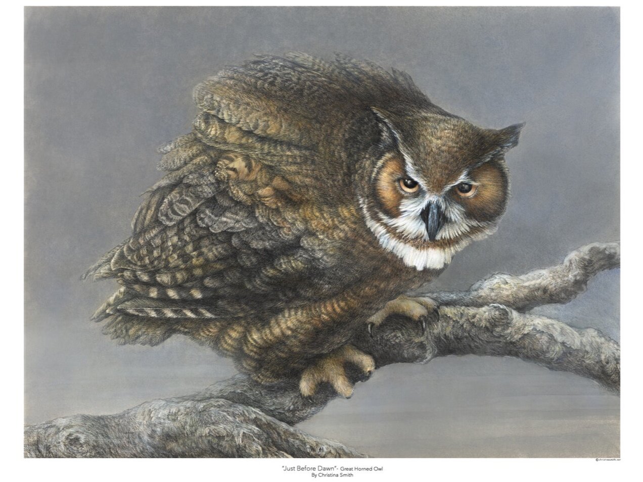 Just+Before+Dawn+-+great+horned+owl+shop1.jpg