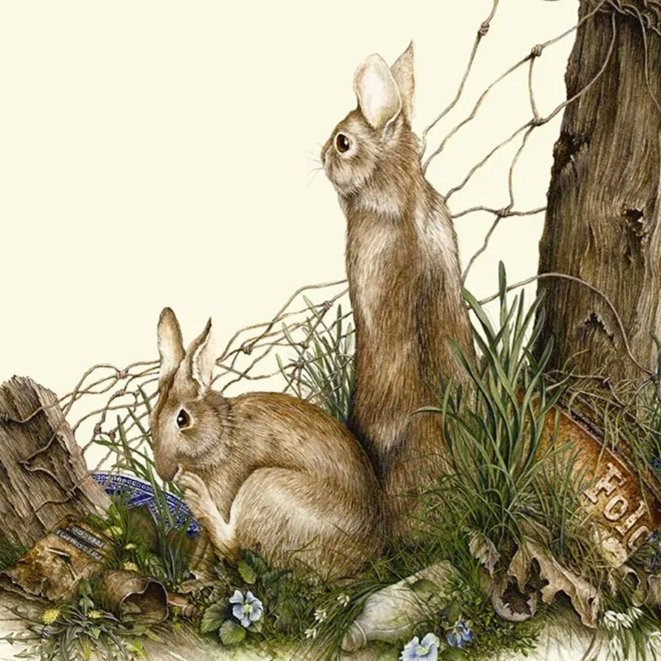 "Reclaiming the Old Homestead" - cotton-tail rabbits