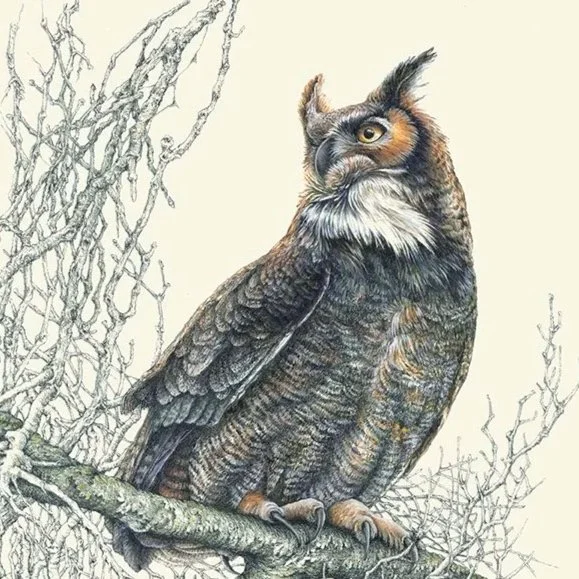 "Nocturnal Sentinel" Great-horned Owl