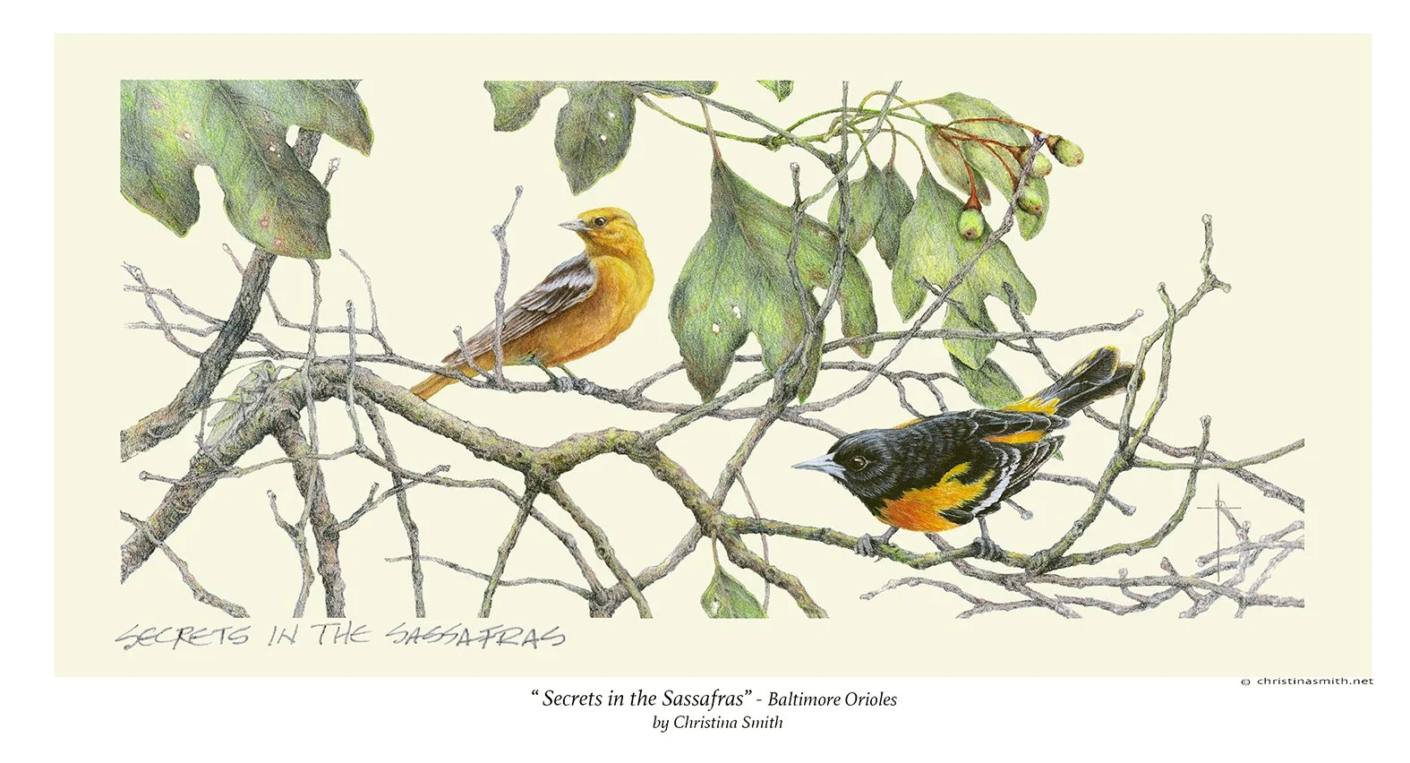 WEB-Secrets in the Sassafras.jpg