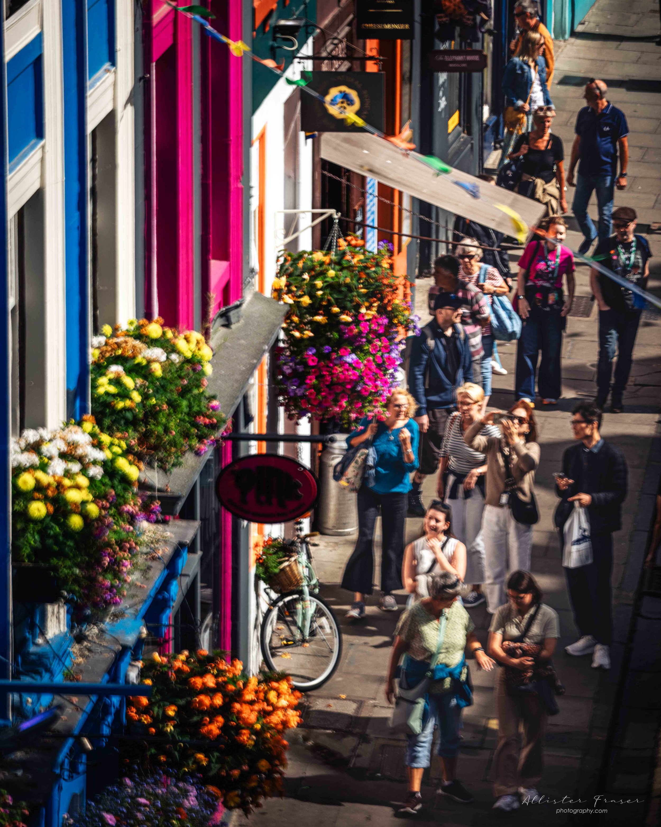 grass market flowers and colours from above