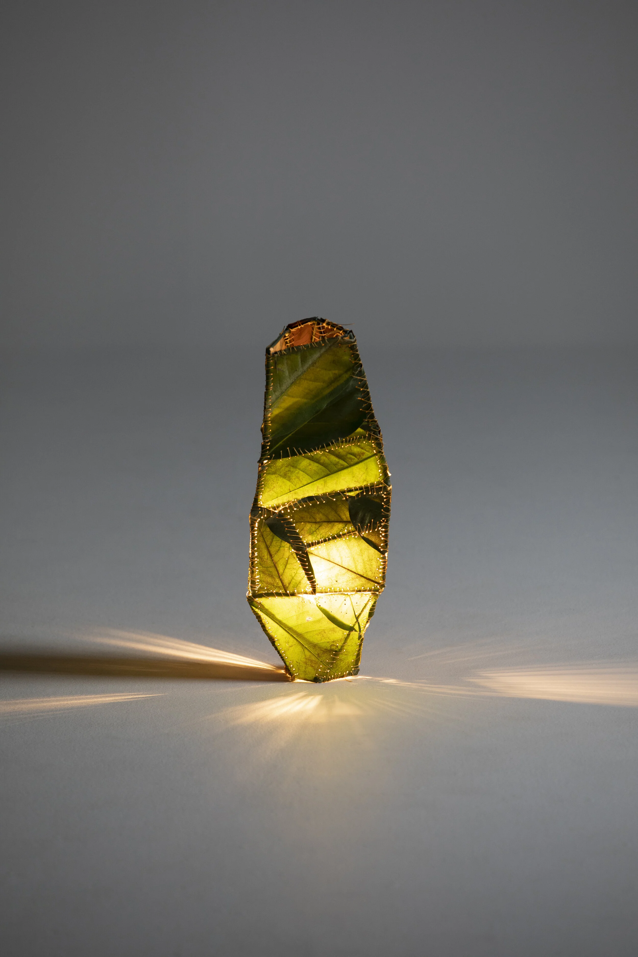 Artistic sculpture made of illuminated green leaves enclosed in a transparent casing, standing upright on a white surface with soft lighting casting shadows.