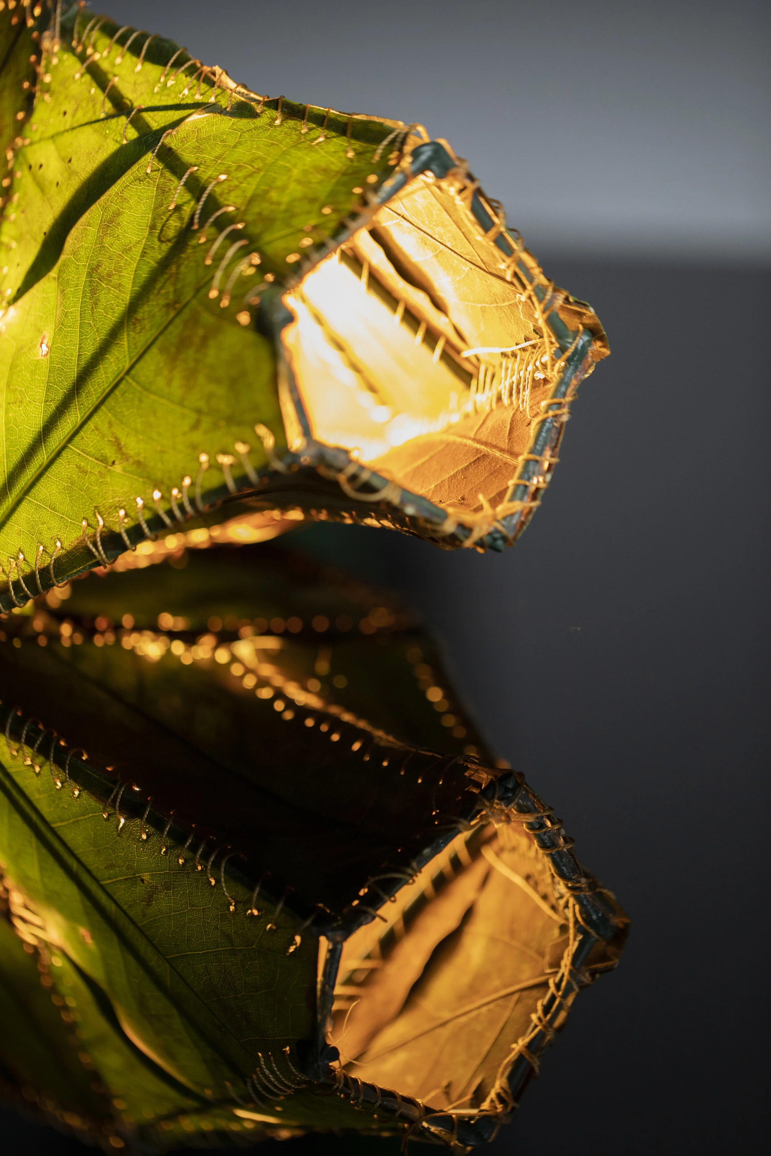 A close-up of a decorative lamp made from leaf-shaped pieces stitched together, lit from inside, with its reflection visible on a glossy surface.