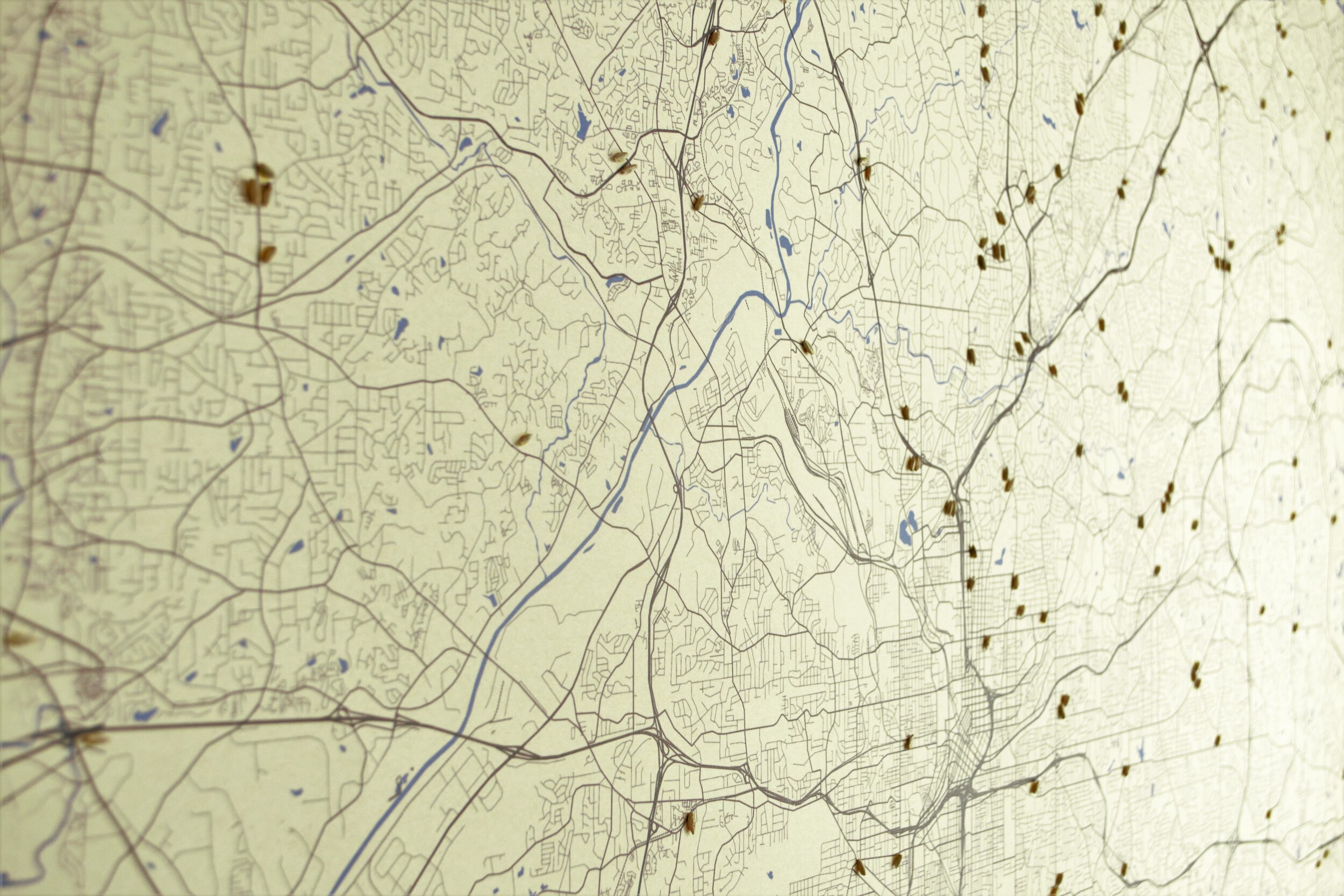 A detailed city map with roads, rivers, and small water bodies, mounted on a wall with a textured light-colored background.