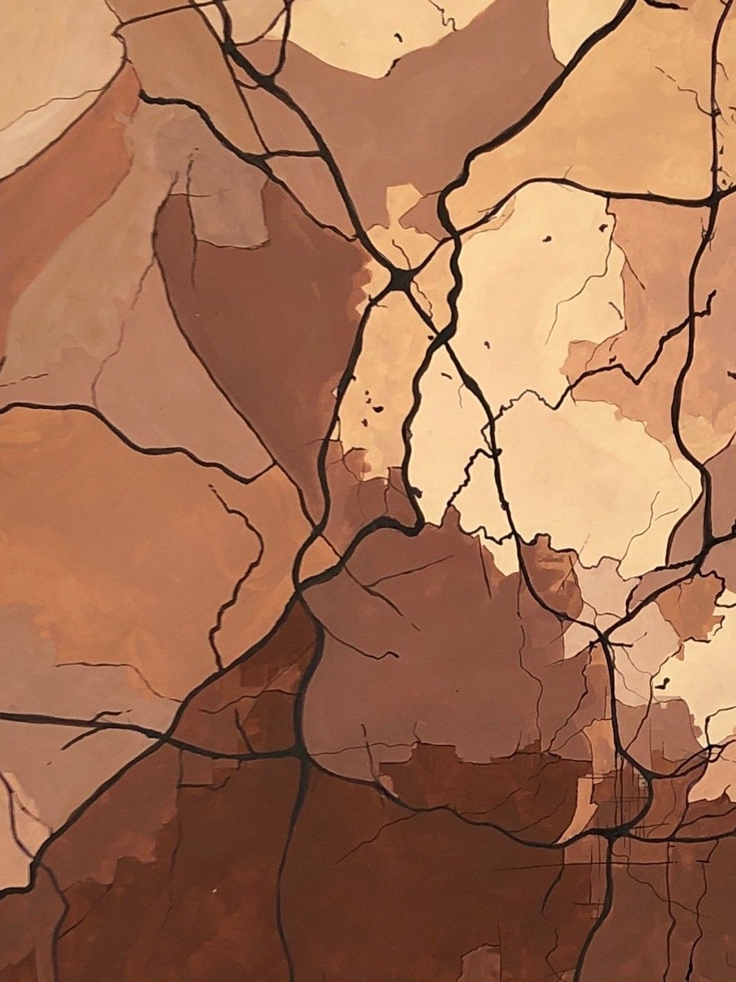Abstract map with various shades of brown and black roads network