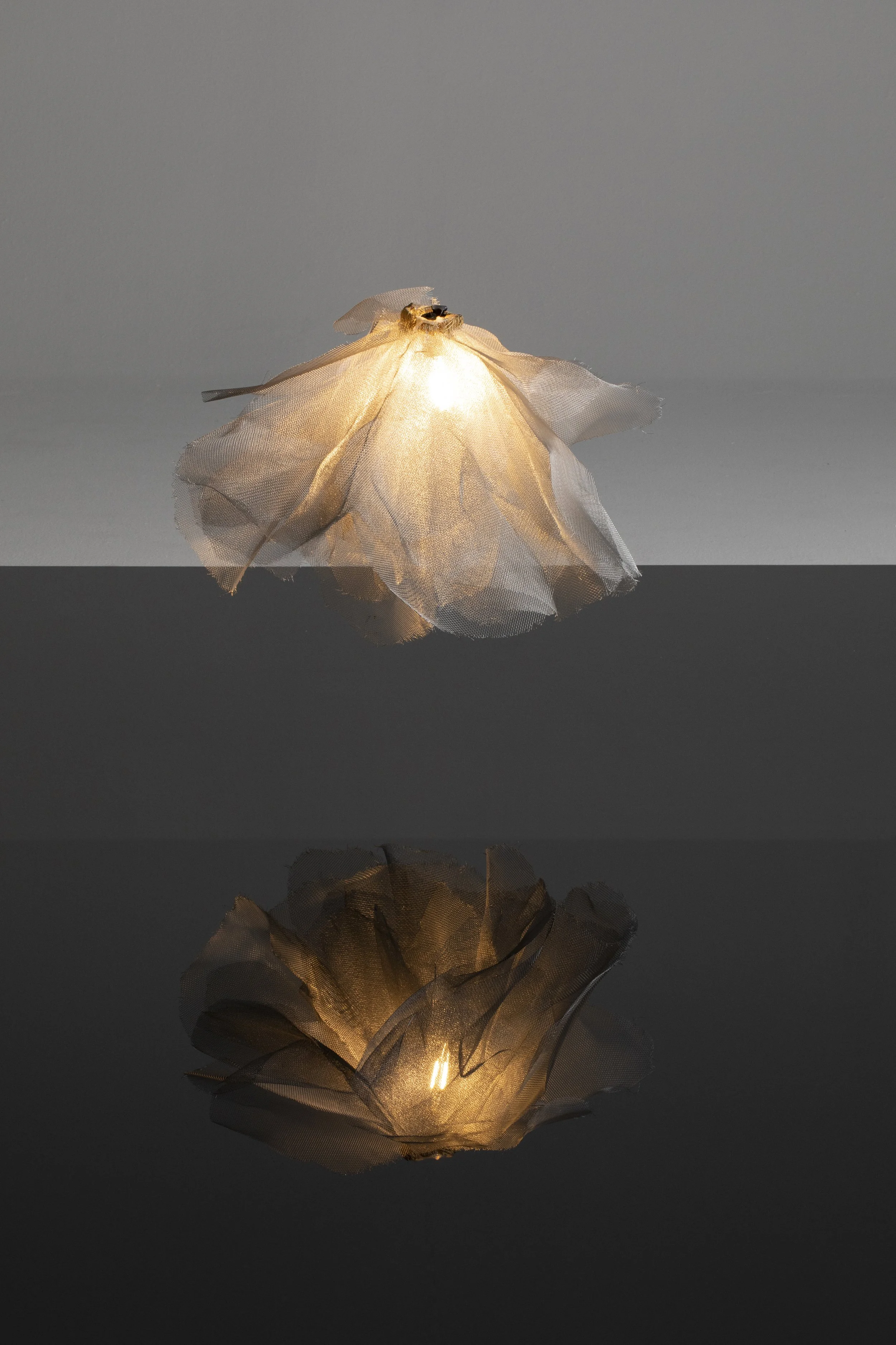 An artistic photograph of a decorative light resembling a flower, with a soft glow, reflected on a glossy black surface.