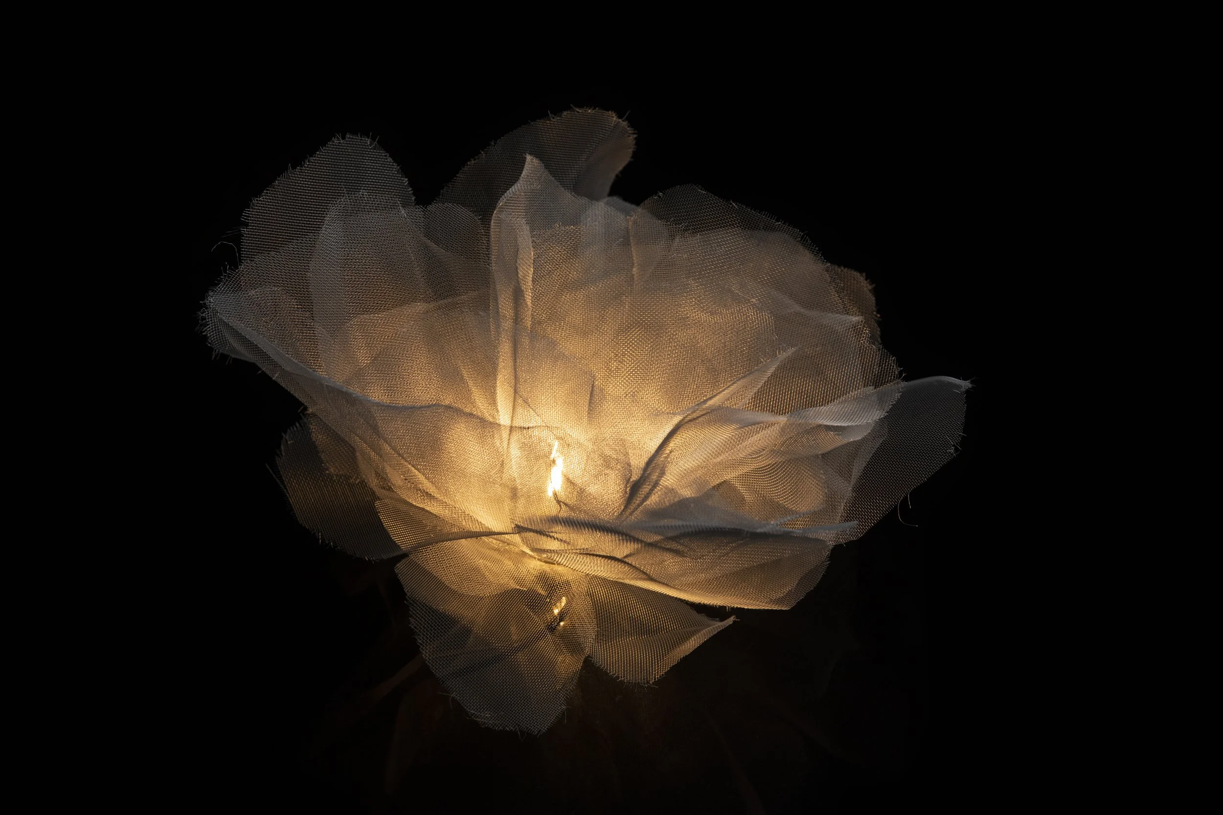 A glowing, artificial rose made of translucent material, illuminated from within, set against a black background.