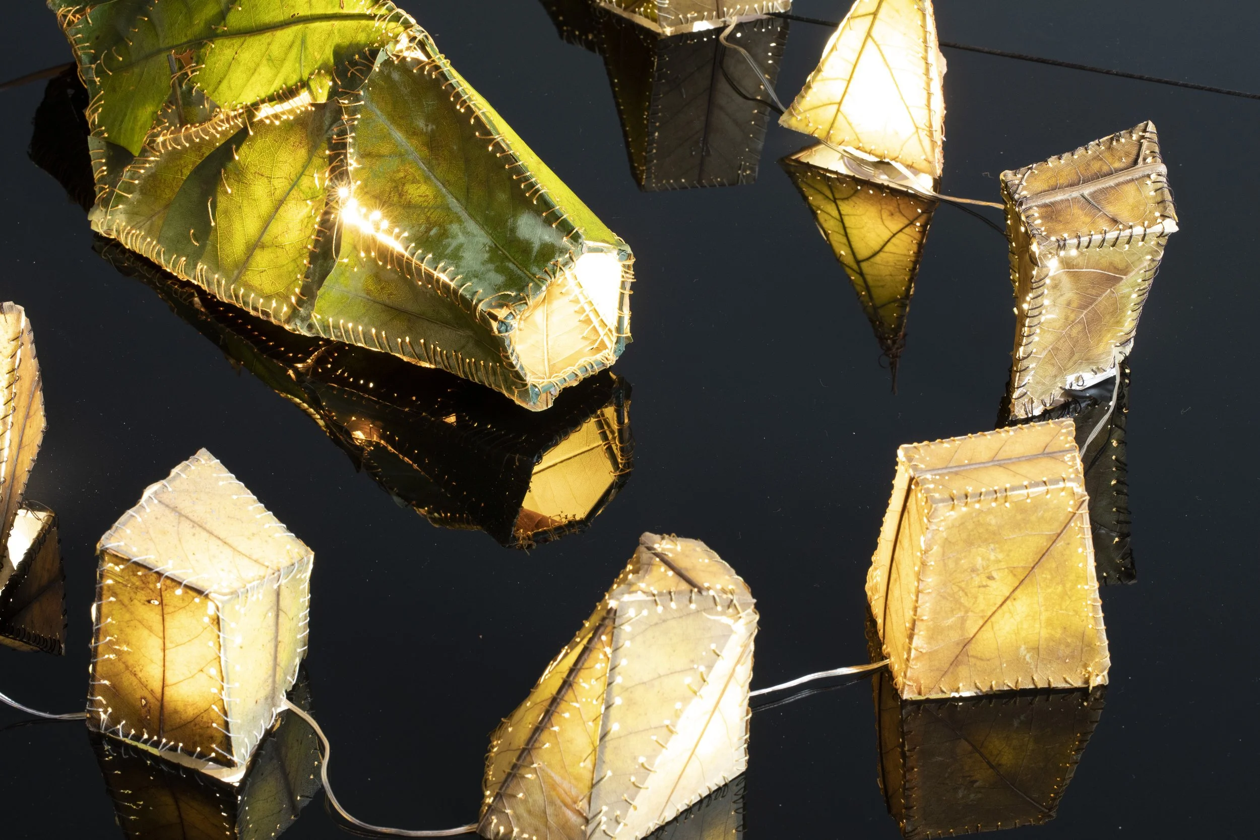 Augmented is a three-dimensional work that pulls together biological textures with the ideals of the human desire for control and beauty. Taking the form of lampshades, these vessels harness the power of light to illustrate the fragility of the evolv