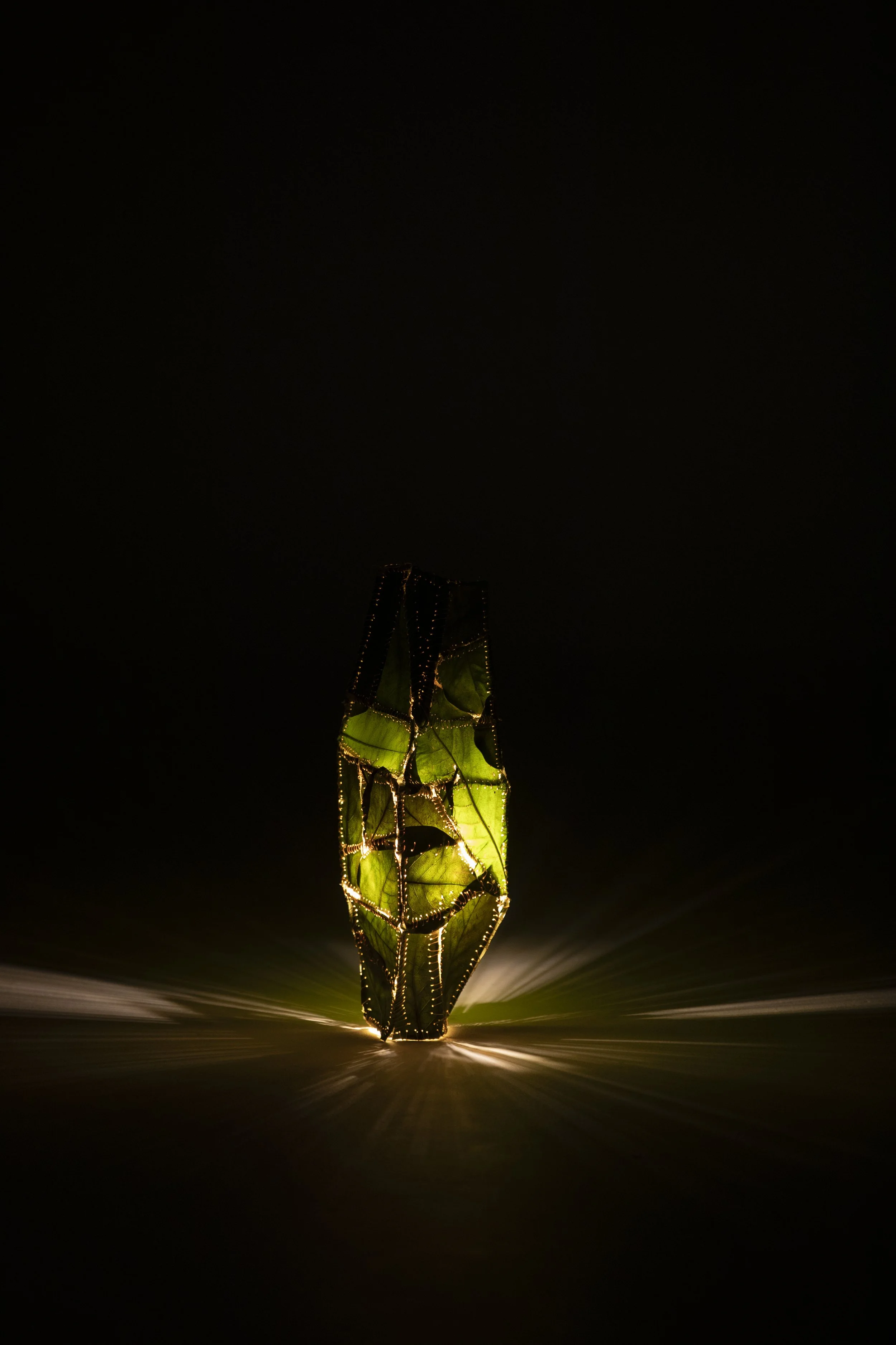 A decorative lantern with green leaves and string lights illuminated against a dark background.