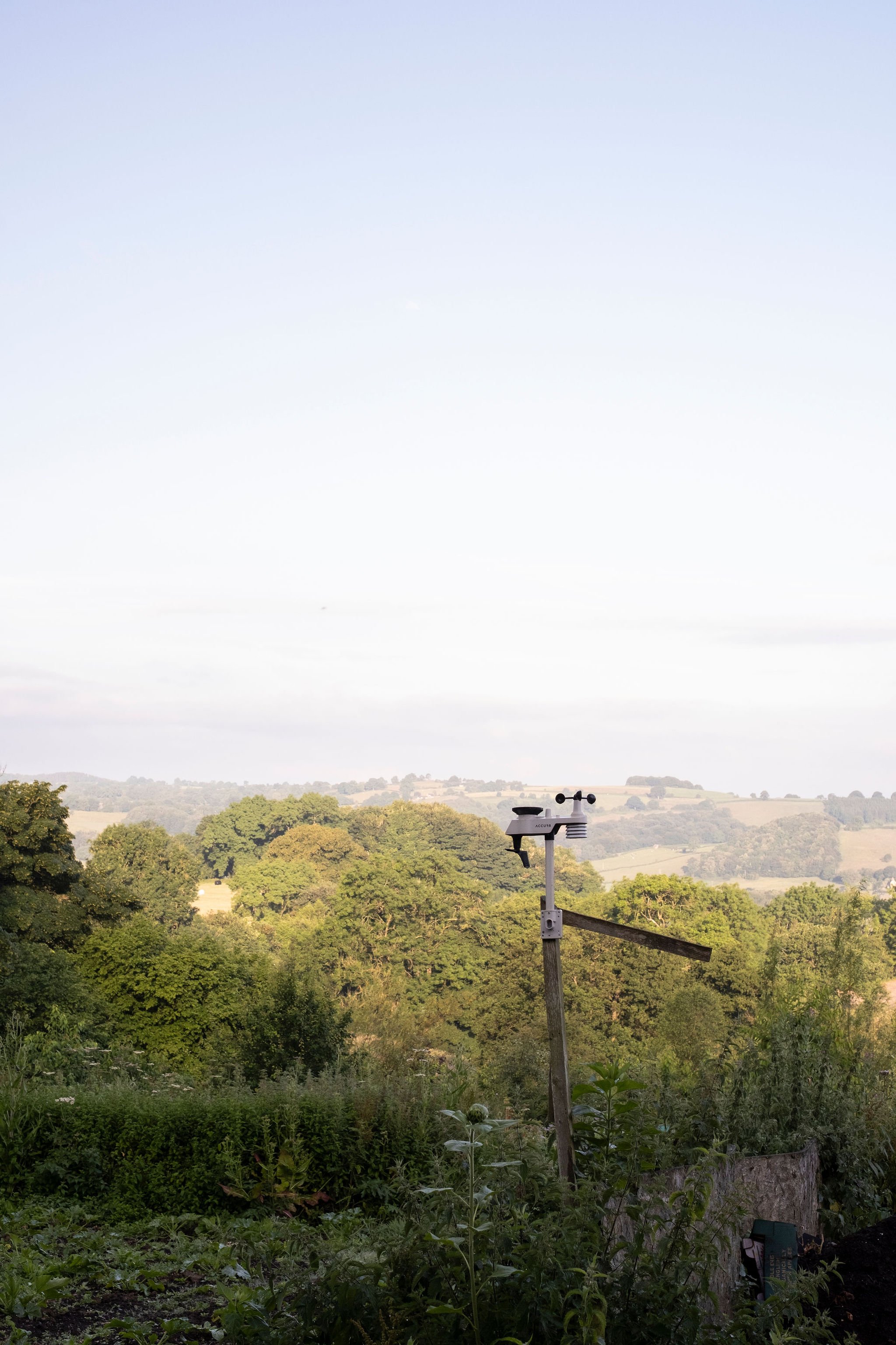 Photography for an organic vegetable box scheme. Permaculture photographer in Derbyshire.