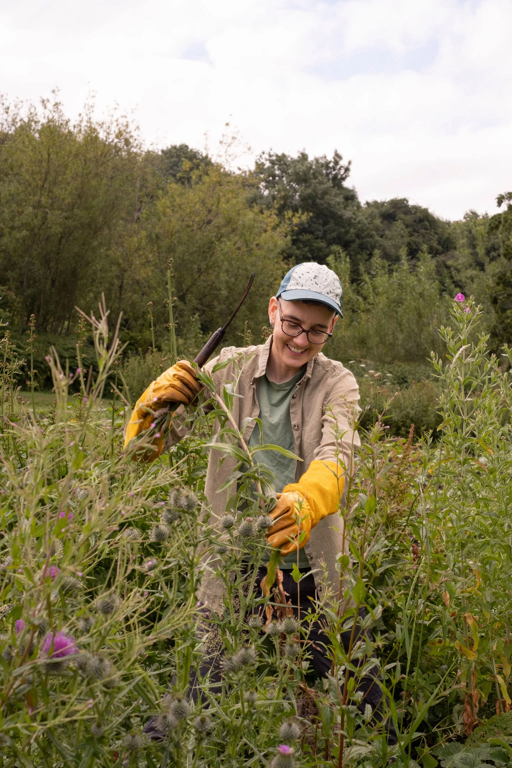 Photography for an organic vegetable box scheme. Permaculture photographer in Derbyshire.