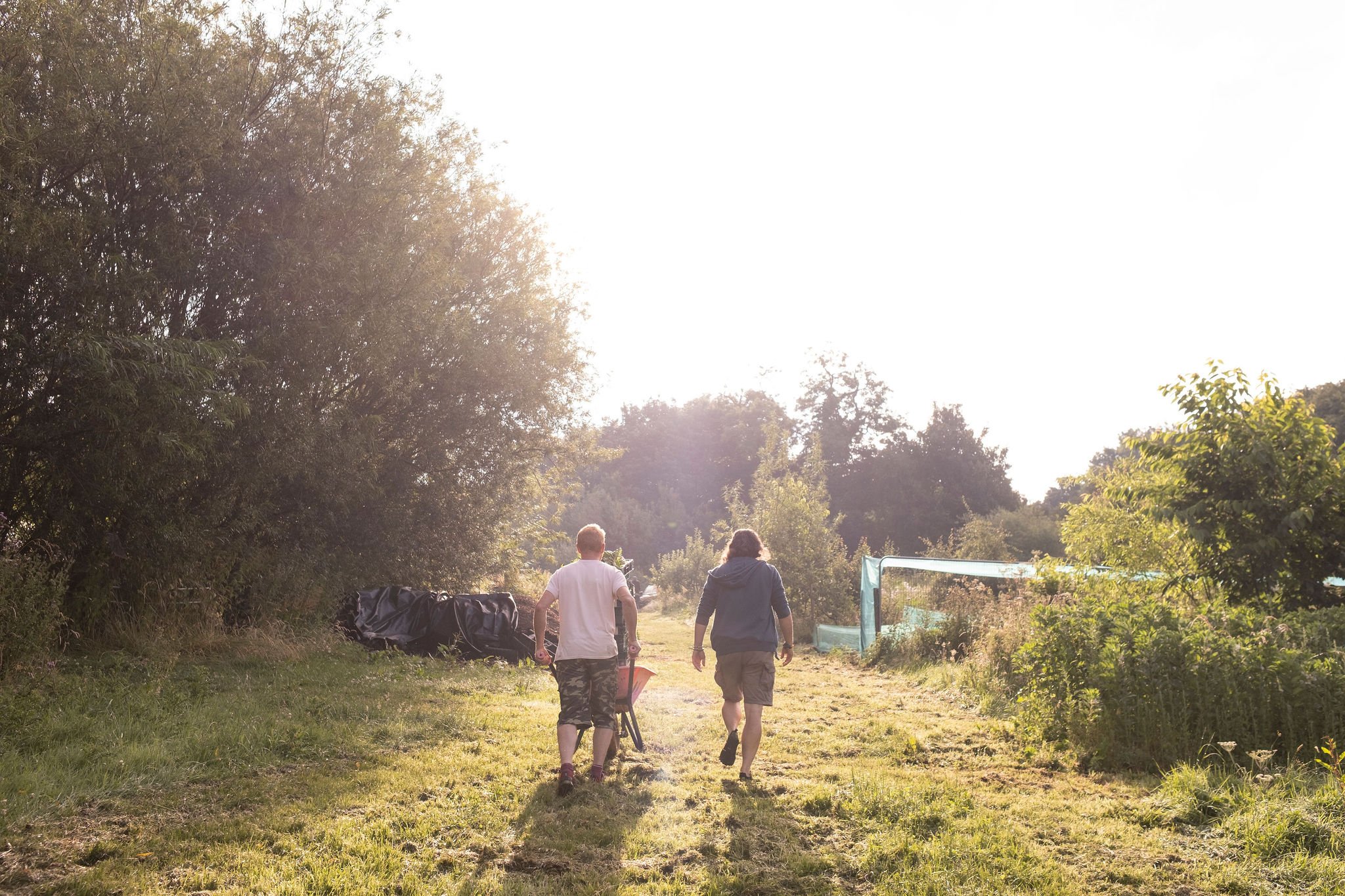 Photography for an organic vegetable box scheme. Permaculture photographer in Derbyshire.