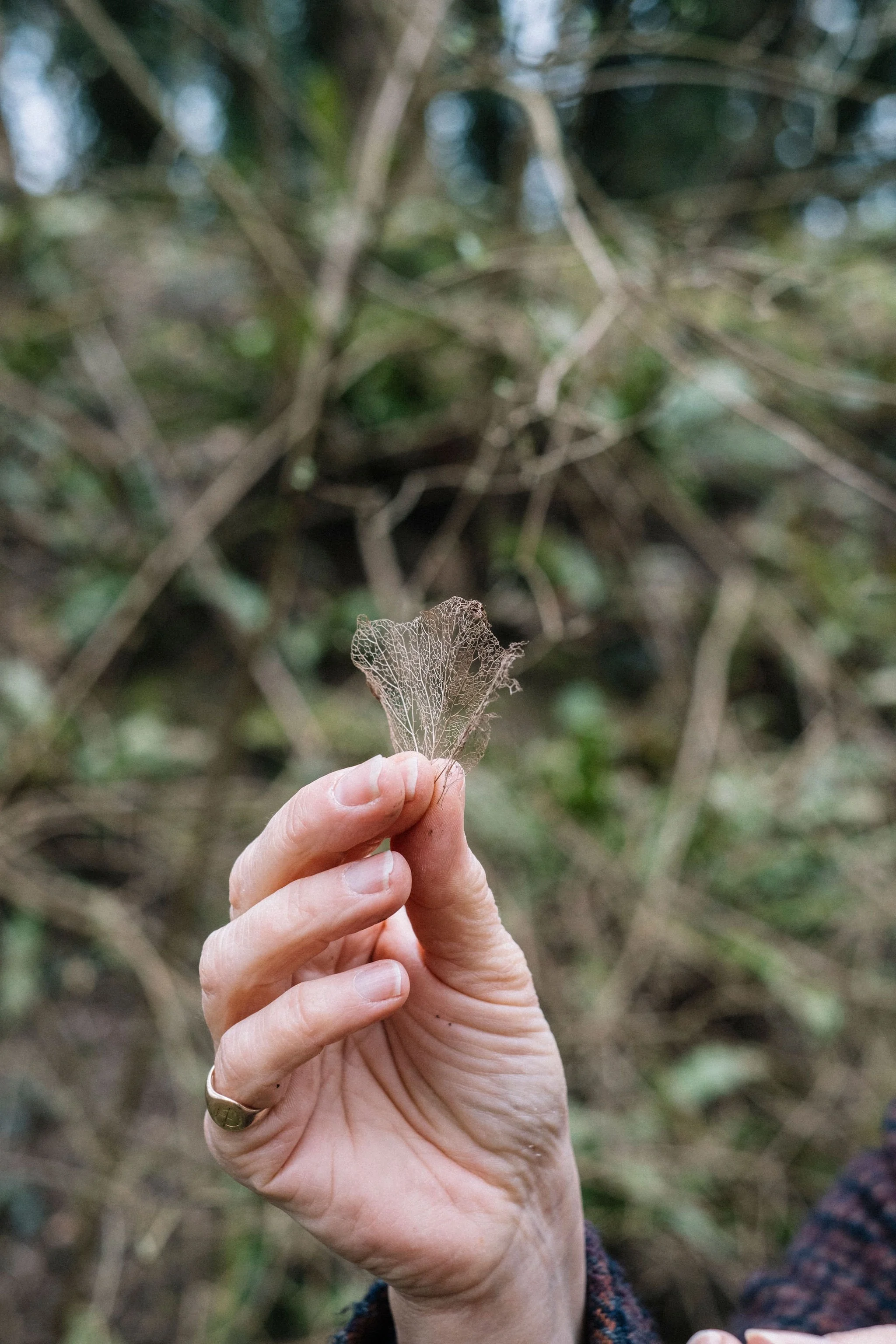 Brand shoot for nature based artist Jane Bevan in South Derbyshire.