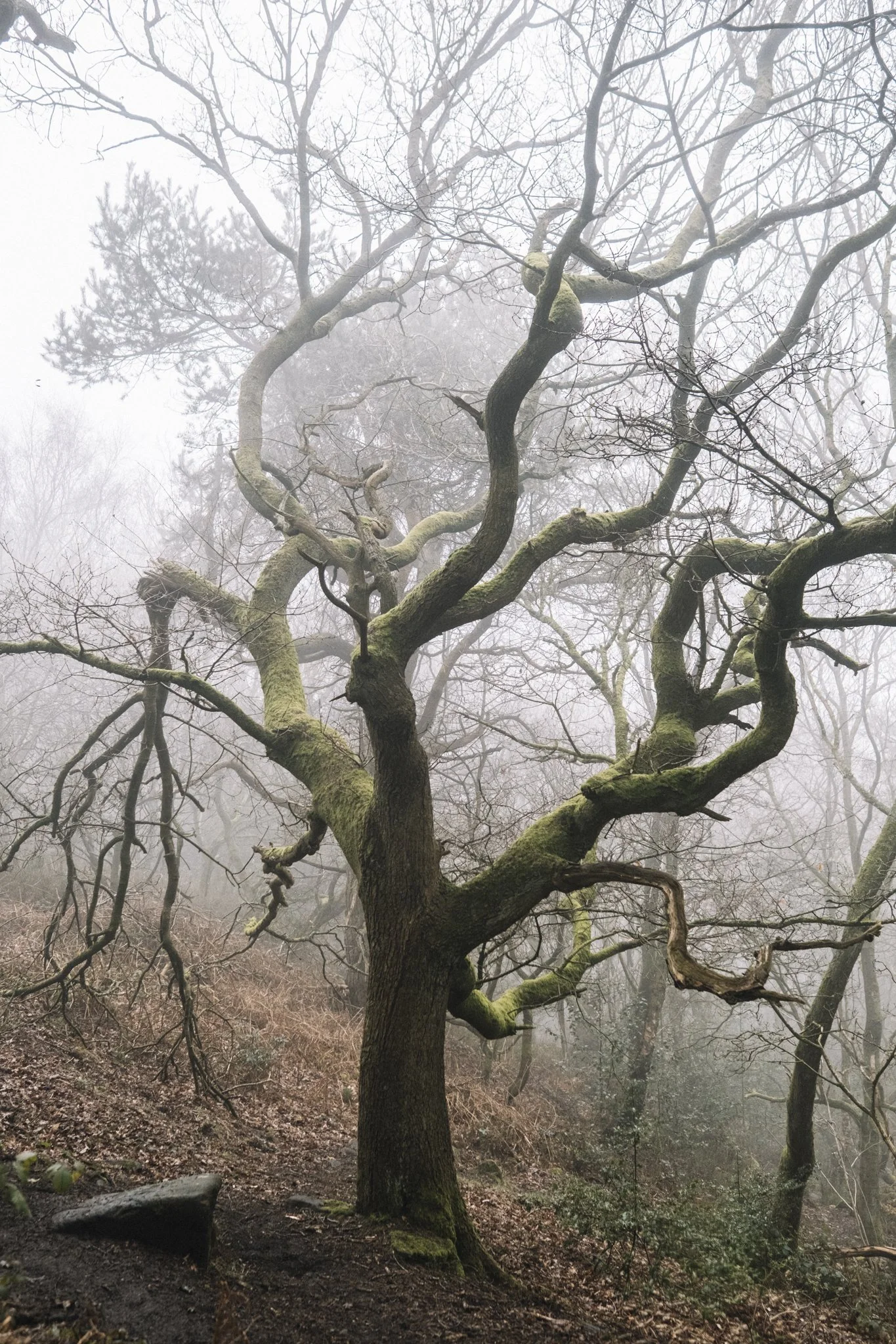 Personal Work: Some Notes From February. 