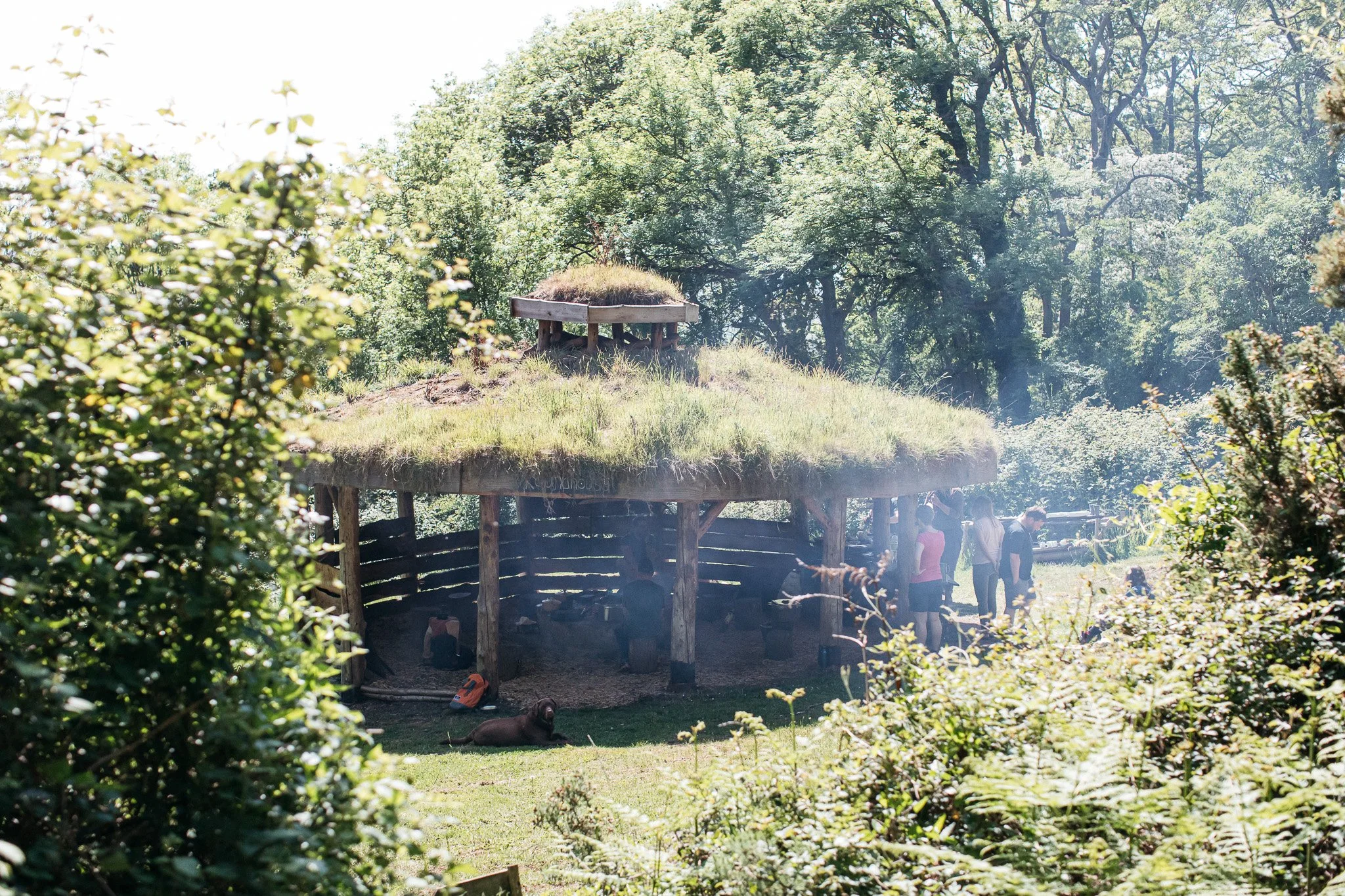 WildFolk_FlavourFred_May22_web-0172-2.jpg