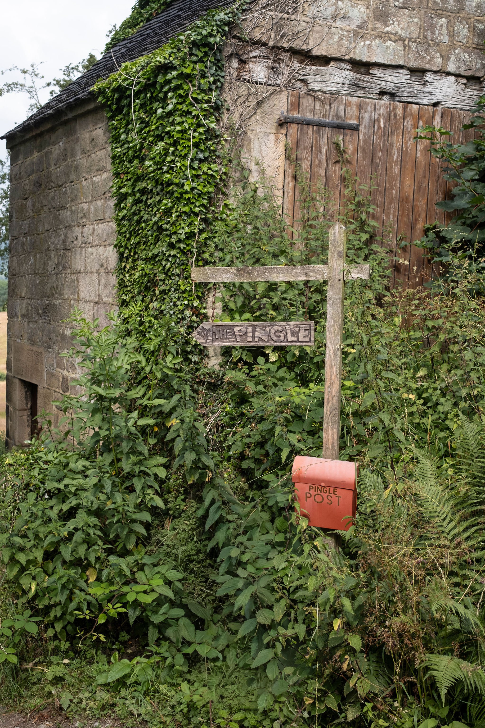 Photography for an organic vegetable box scheme. Permaculture photographer in Derbyshire.