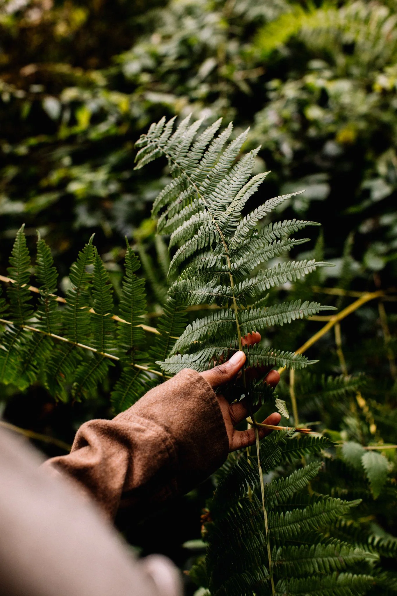 Lifestyle: AW shoot for Wild Nutrition. 