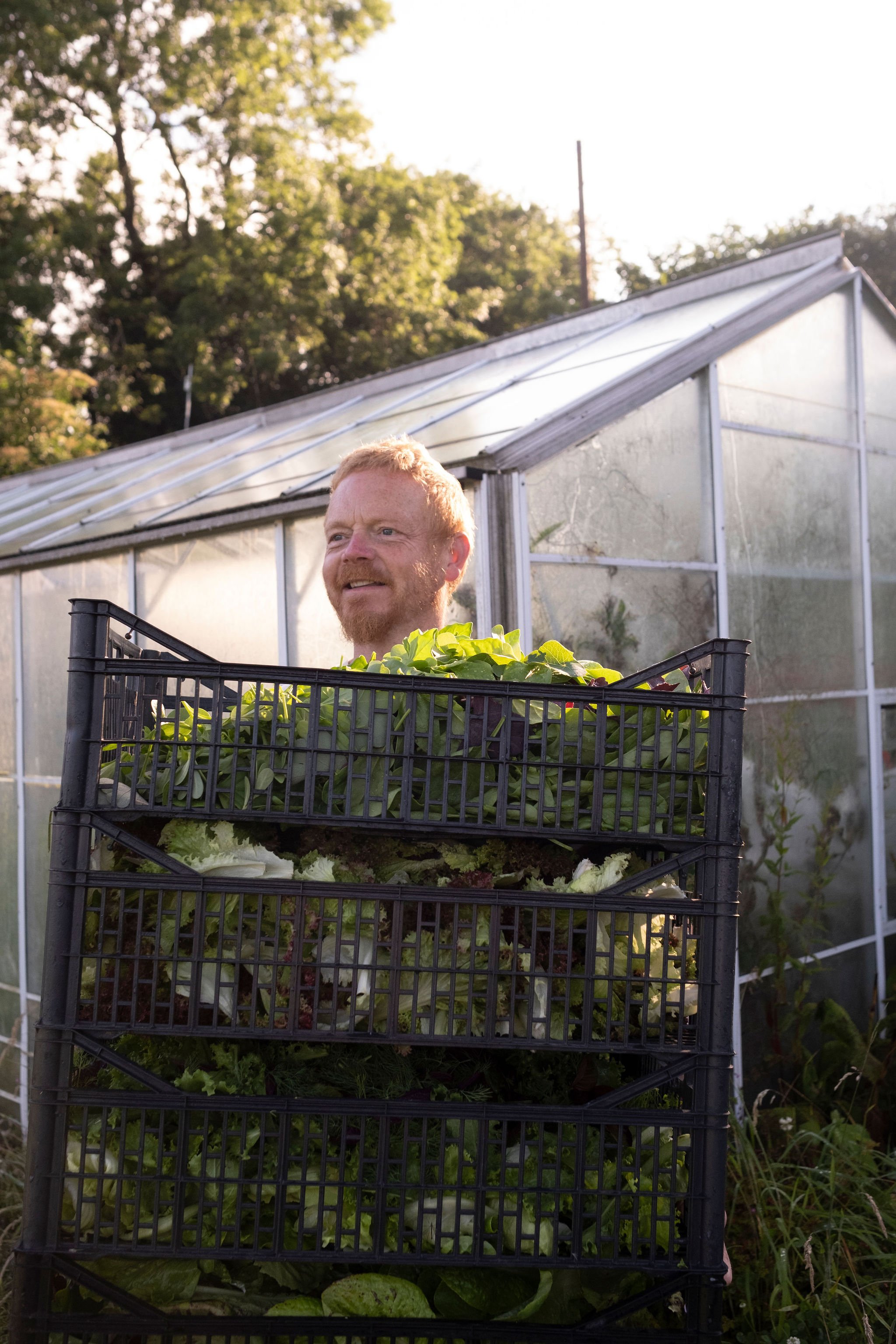 Photography for an organic vegetable box scheme. Permaculture photographer in Derbyshire.