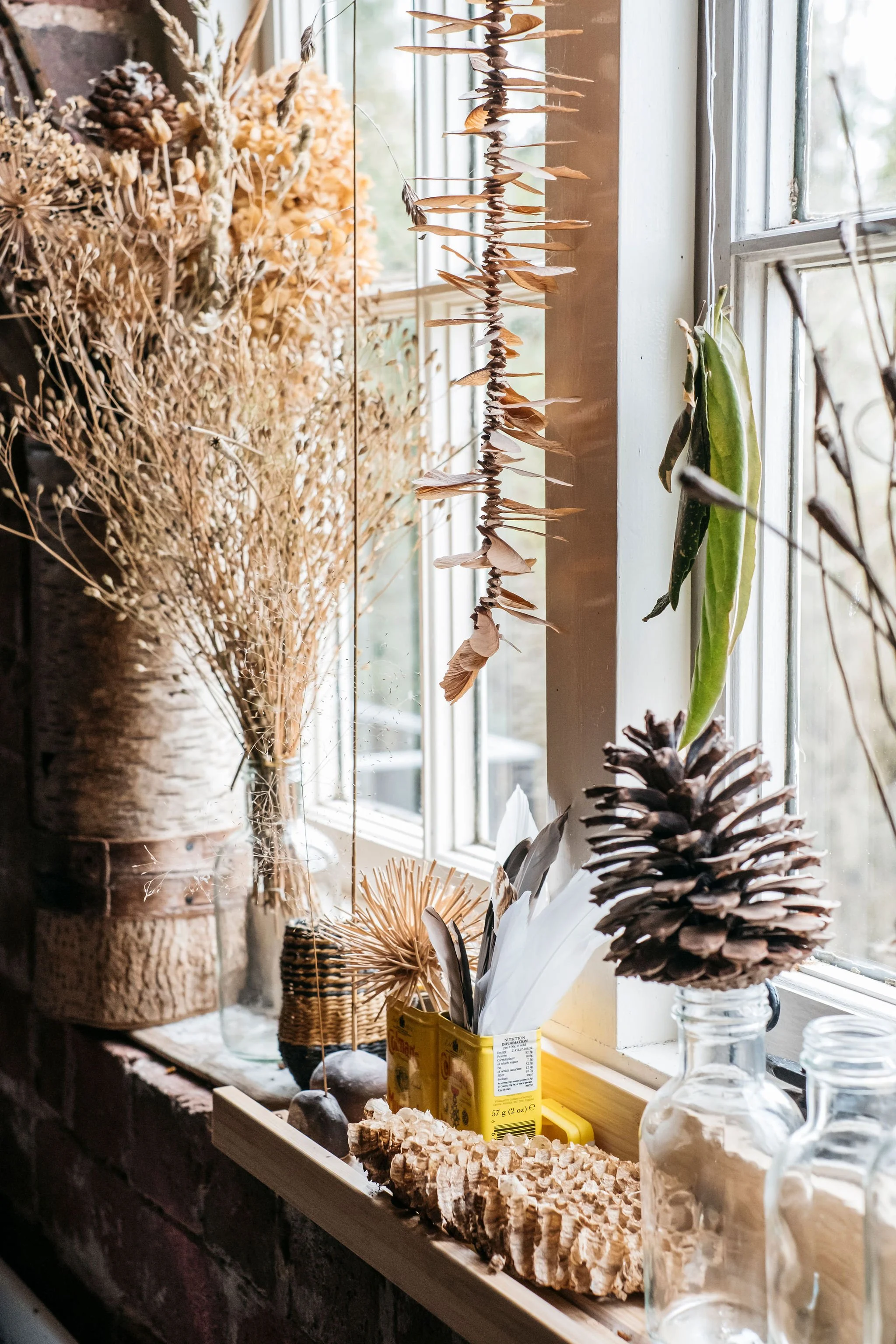 Indoor and outdoor brand and portrait shoot for nature based artist in the East Midlands