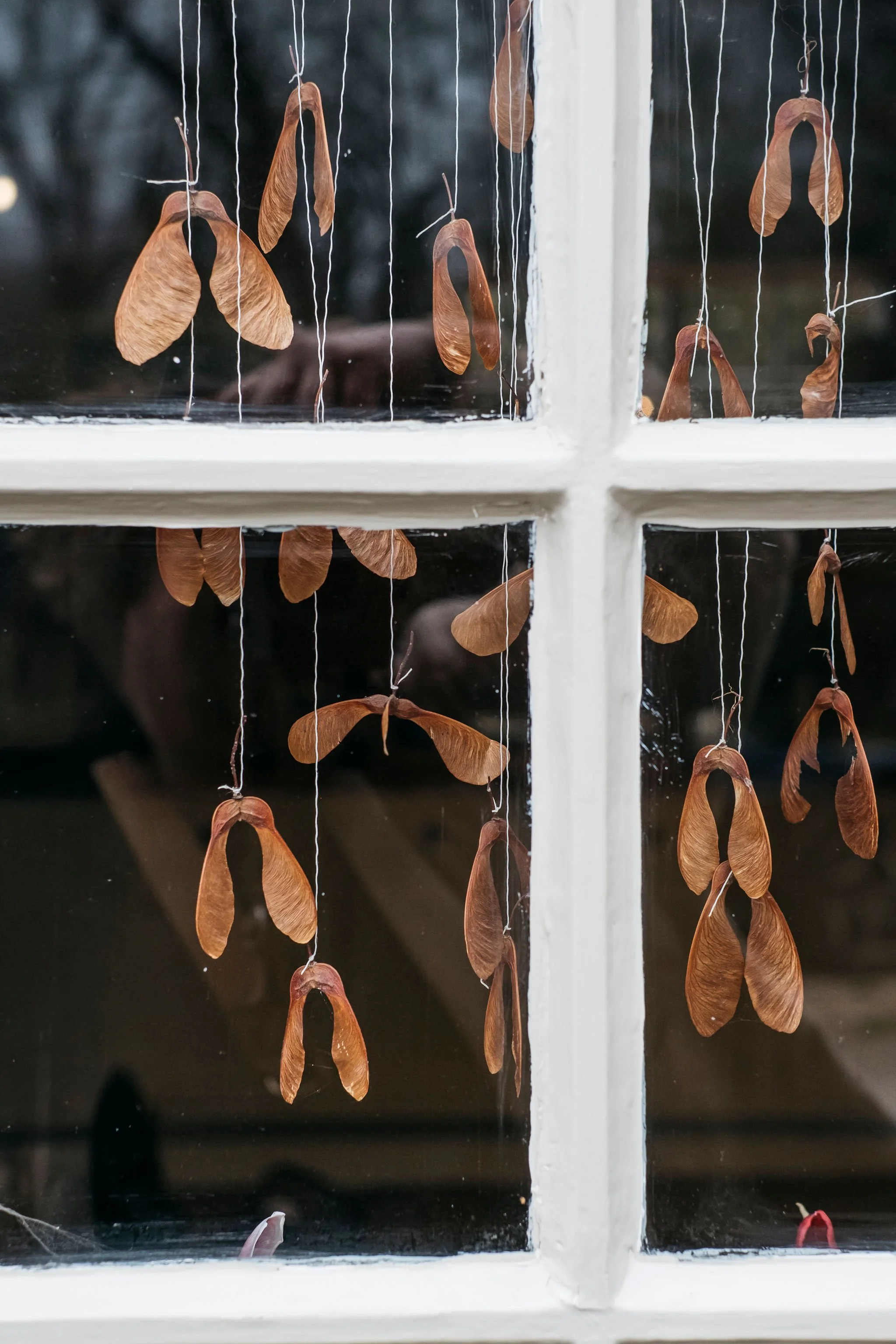 Indoor and outdoor brand and portrait shoot for nature based artist in the East Midlands