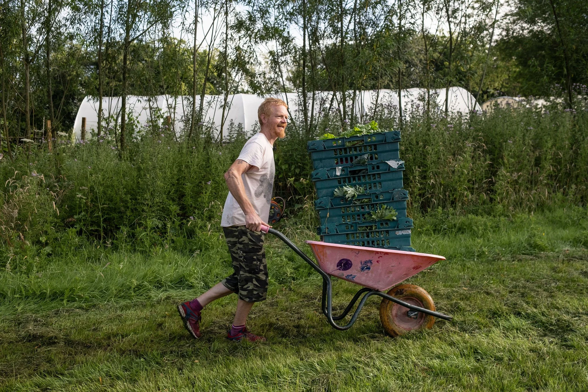 Photography for an organic vegetable box scheme. Permaculture photographer in Derbyshire.