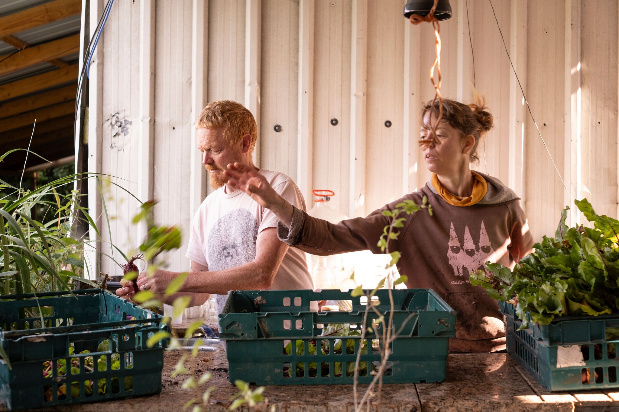 Photography for an organic vegetable box scheme. Permaculture photographer in Derbyshire.
