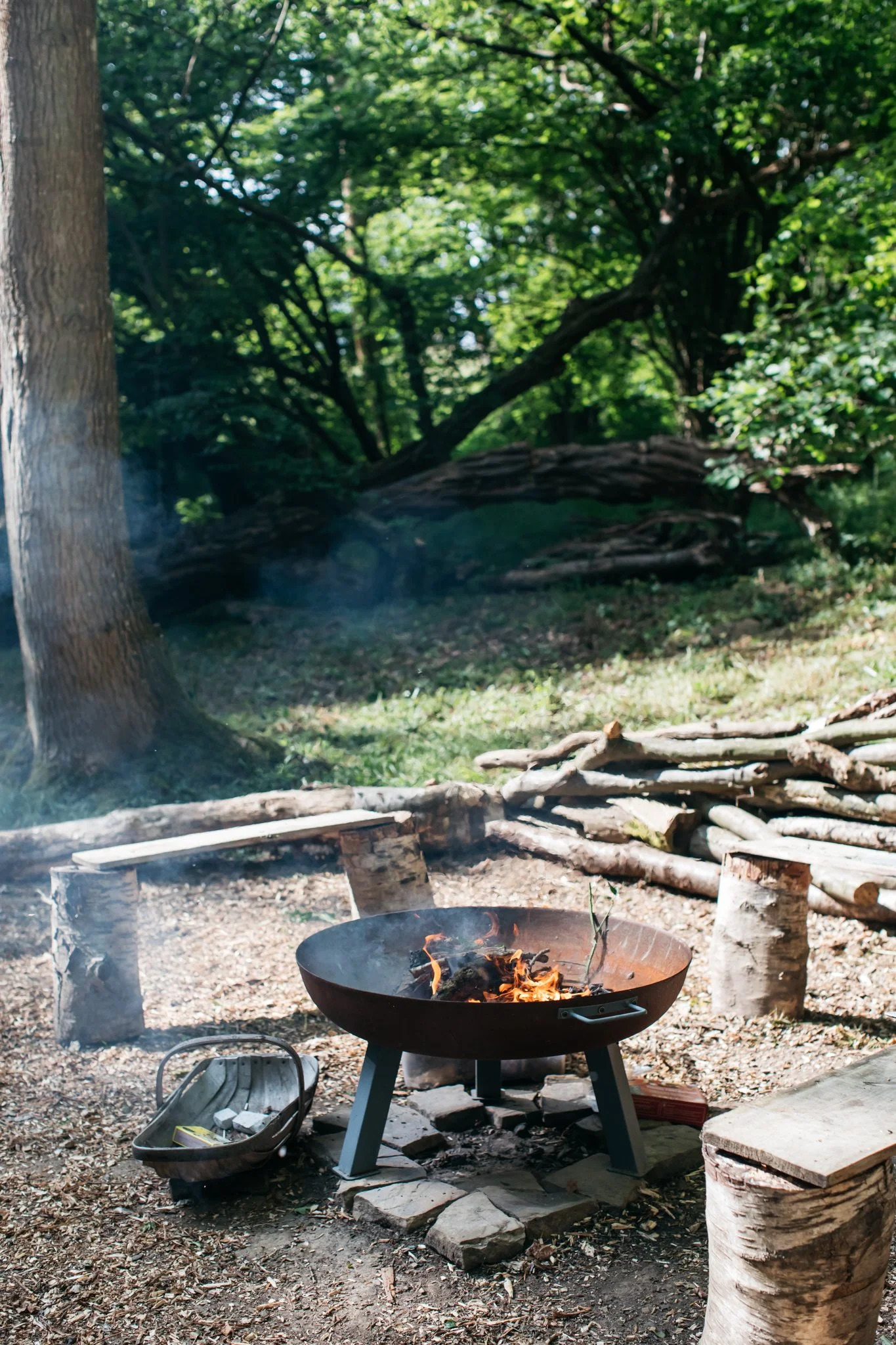 AncientAndBrave_Woodland19_web-2986.jpg