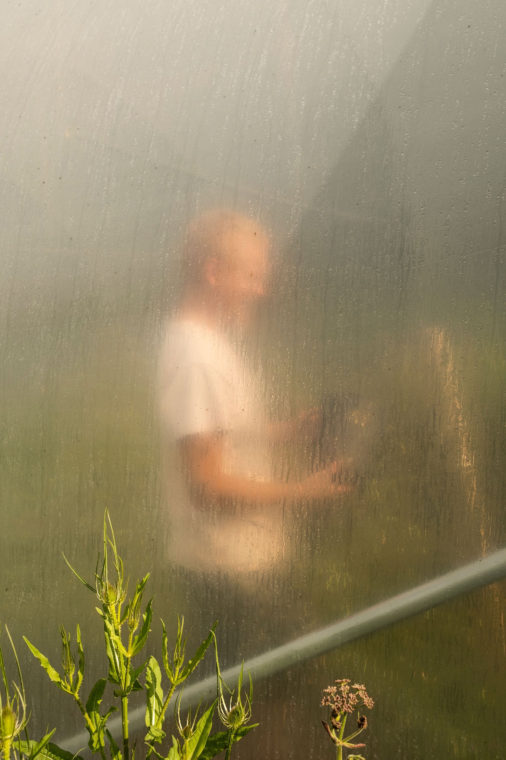 Photography for an organic vegetable box scheme. Permaculture photographer in Derbyshire.