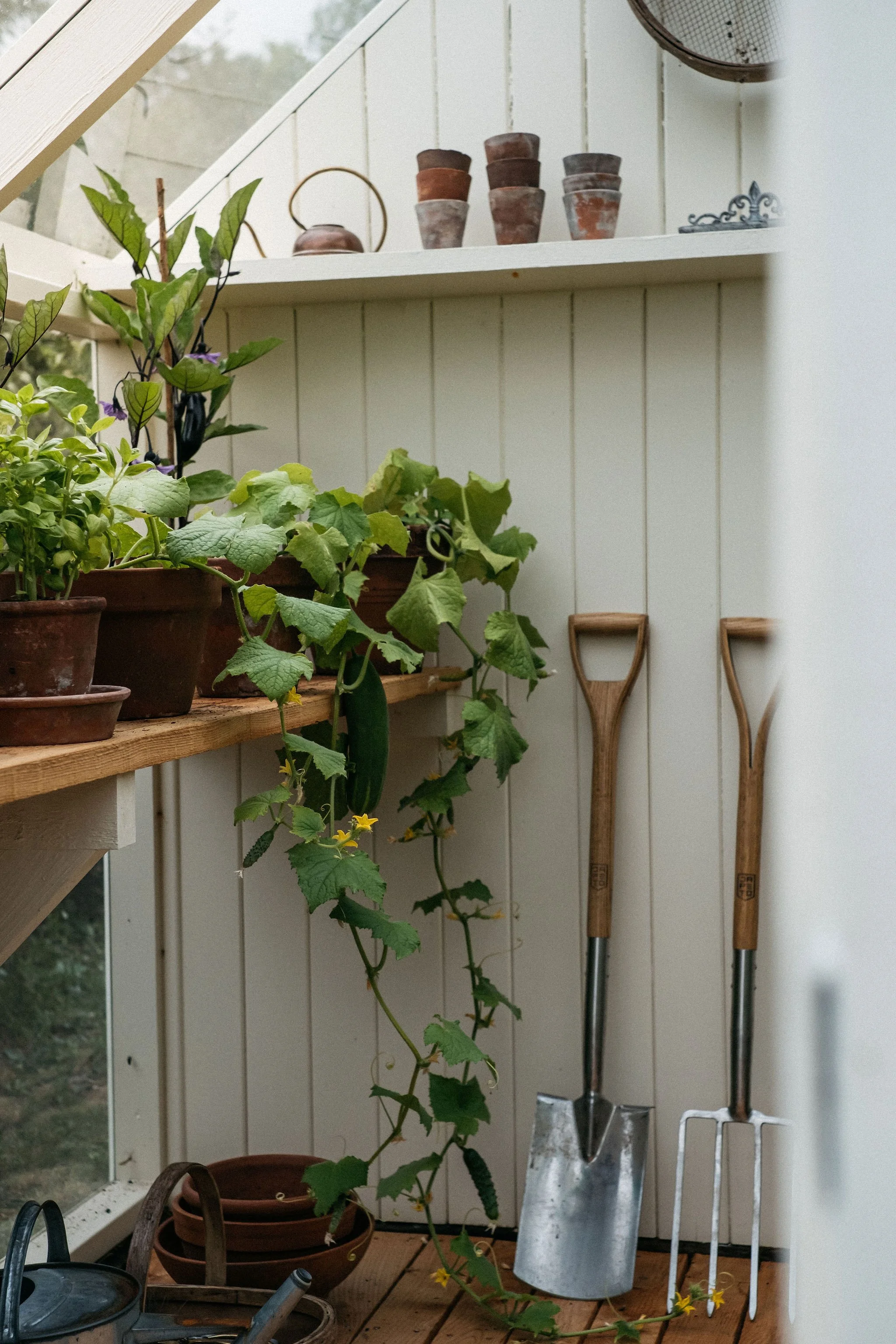 Editorial garden lifestyle photography in Derbyshire.