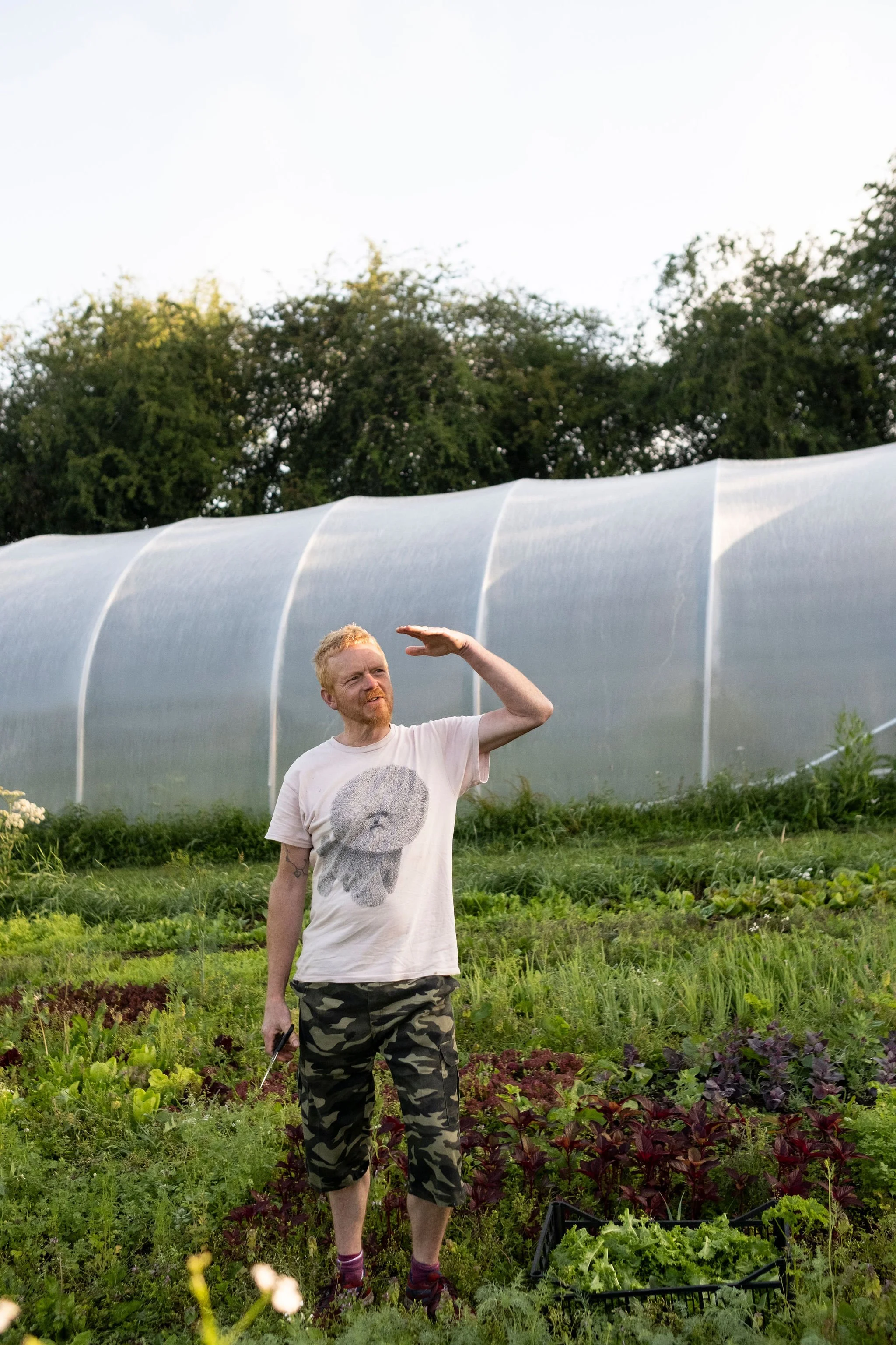 Photography for an organic vegetable box scheme. Permaculture photographer in Derbyshire.