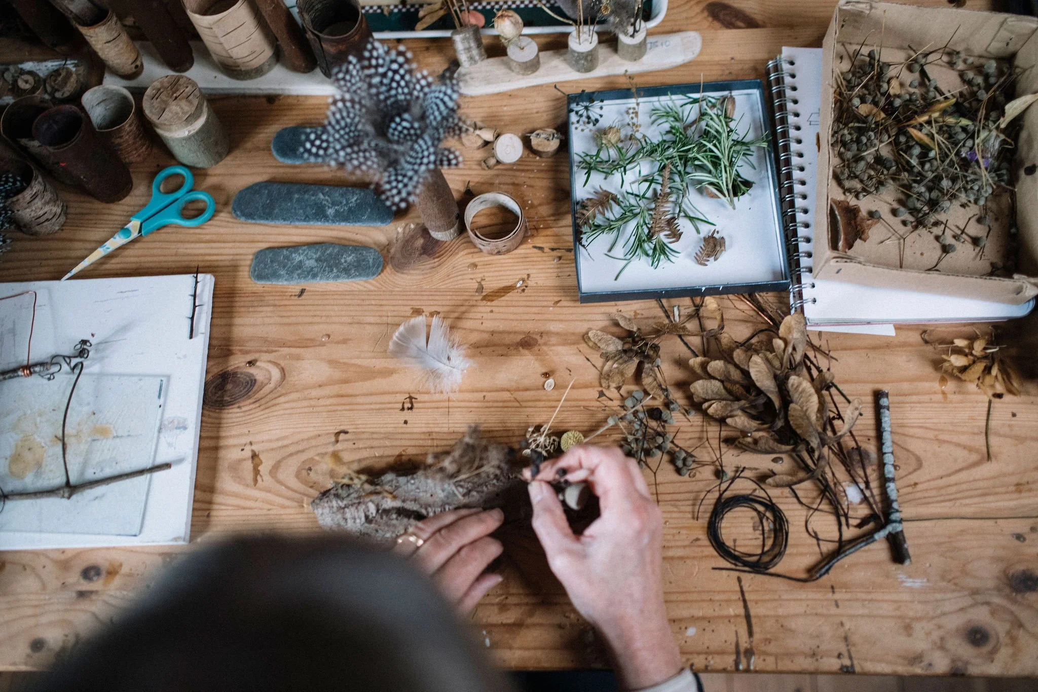 Indoor and outdoor brand and portrait shoot for nature based artist in the East Midlands
