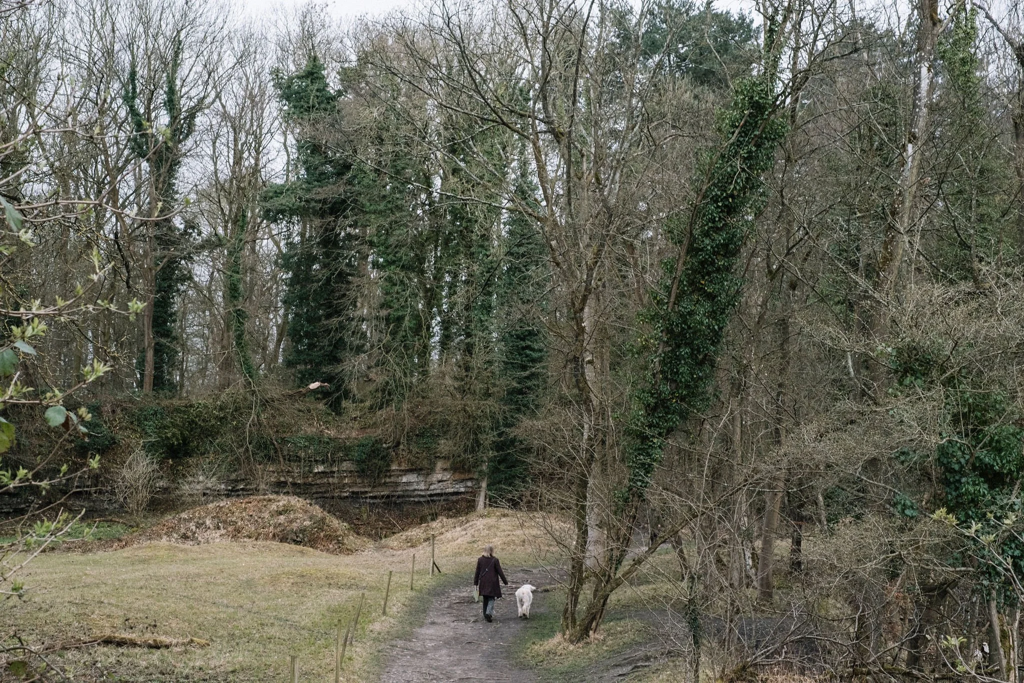 Brand shoot for nature based artist Jane Bevan in South Derbyshire.